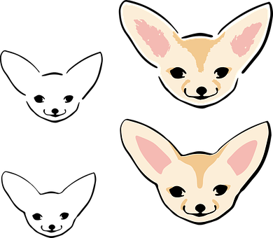 可愛吉娃娃犬臉插圖 壁紙