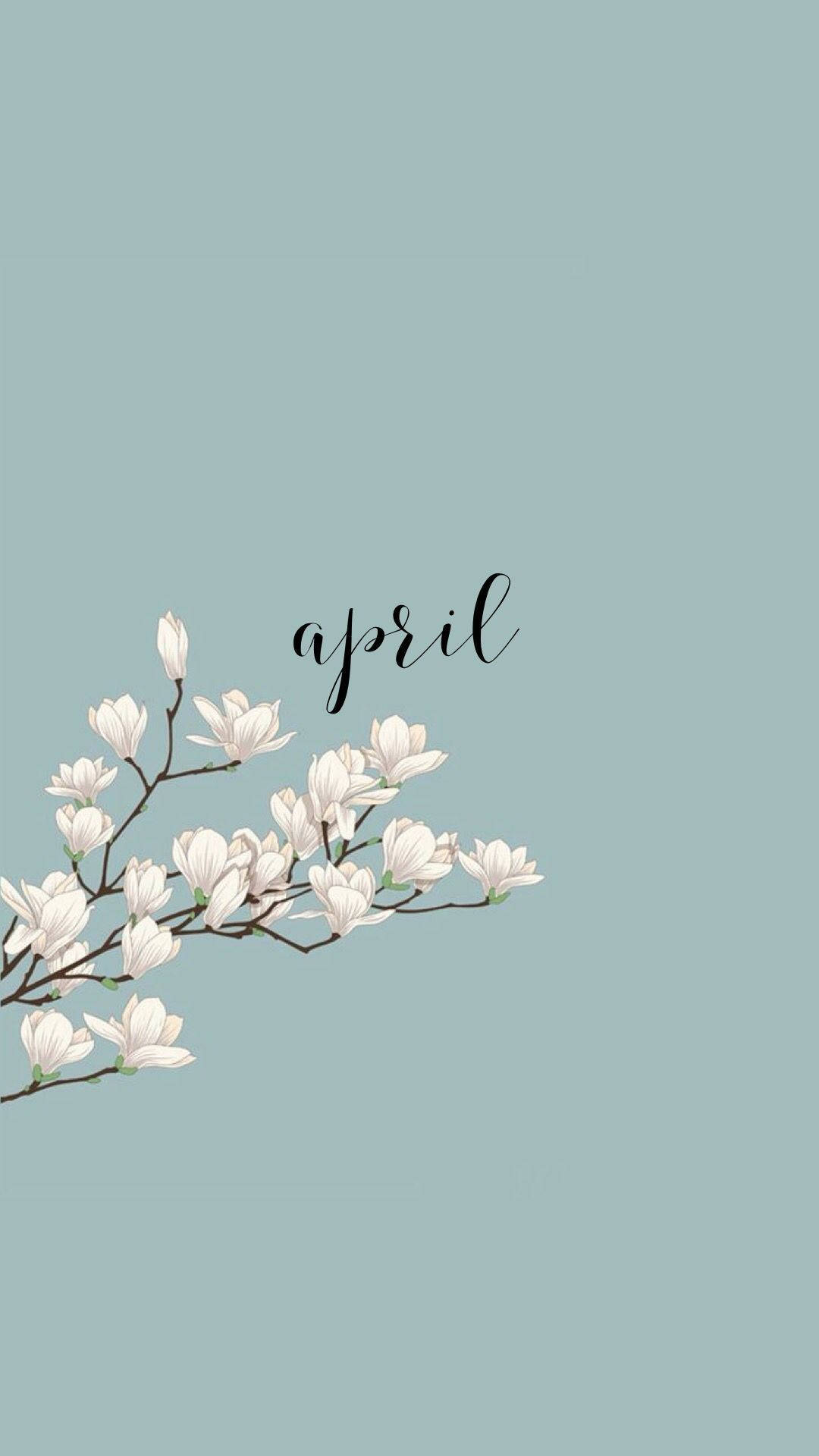 白色木蘭枝條配薄荷背景上的april文字