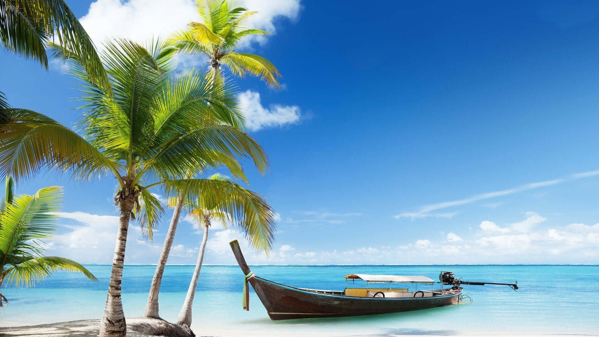 可愛夏日海灘上的小船 壁紙 — 一艘長尾船在清澈碧綠的海水中休息，旁邊是搖曳的棕櫚樹，上方是明亮的藍天和蓬鬆的白雲。