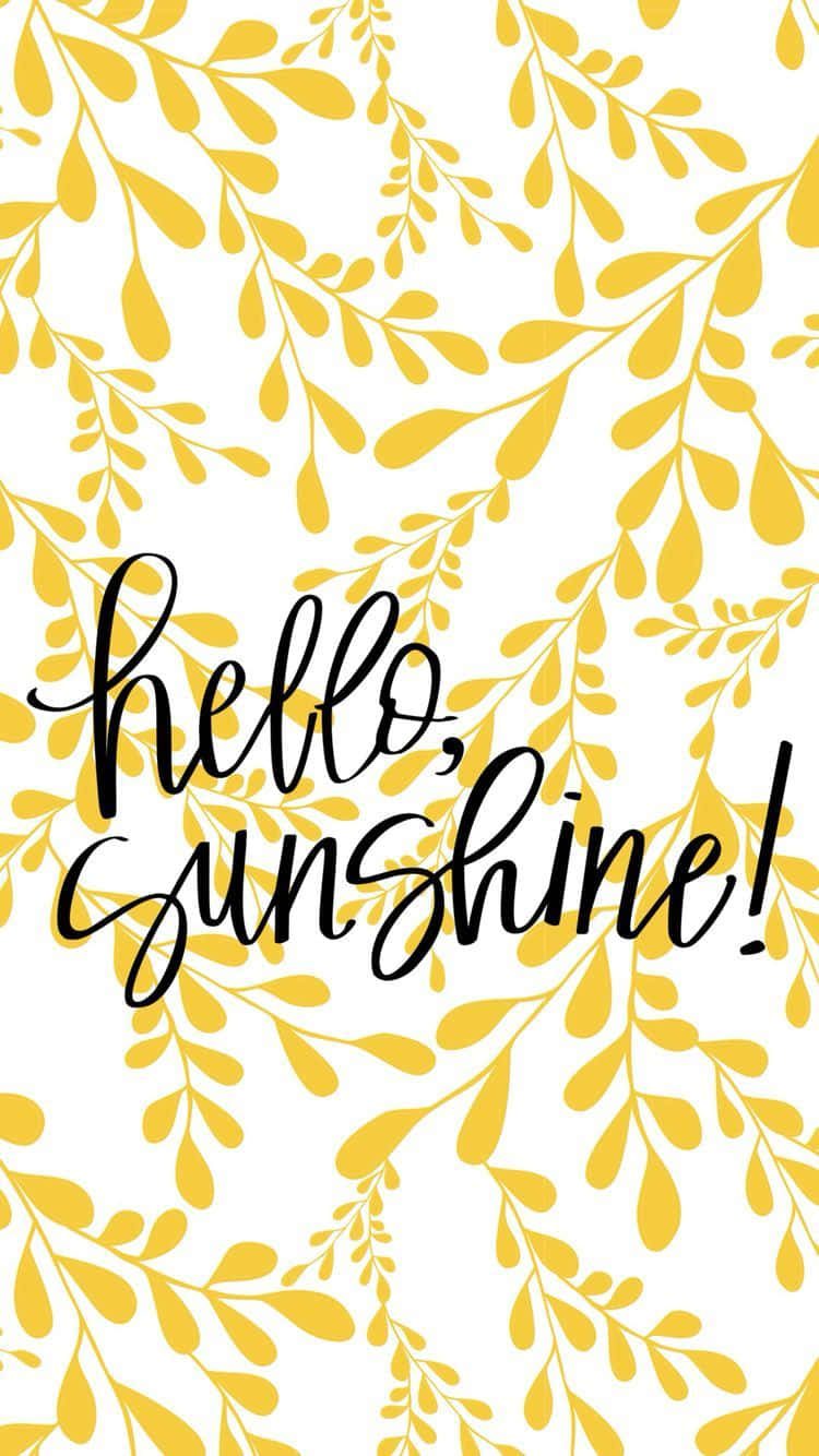黃色葉片圖案，搭配黑色草書 hello sunshine 文字。