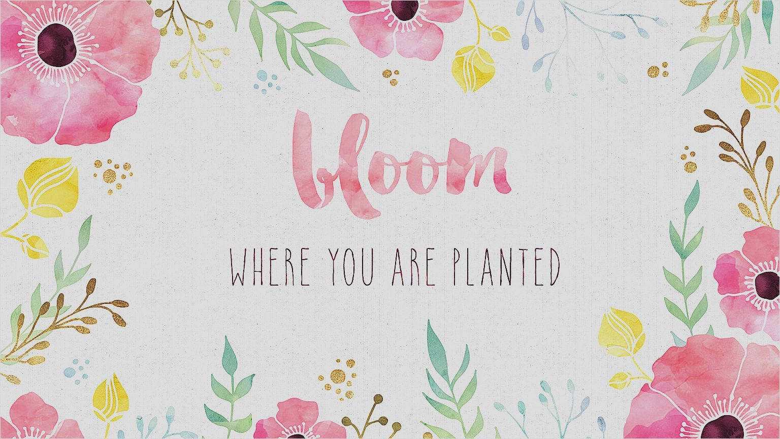 可愛少女綻放 壁紙 — 水彩花卉邊框環繞著單詞 bloom，以柔和的粉紅色、綠色葉子和金色點綴在帶紋理的白色背景上。