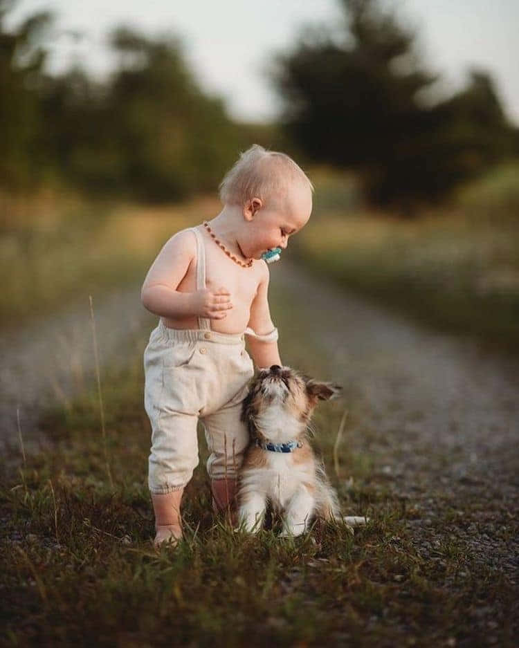 可愛幼犬圖像 壁紙 — 一個穿著奶油色工裝褲的幼兒在黃金時段輕柔地撫摸著草地上的一隻小毛狗。
