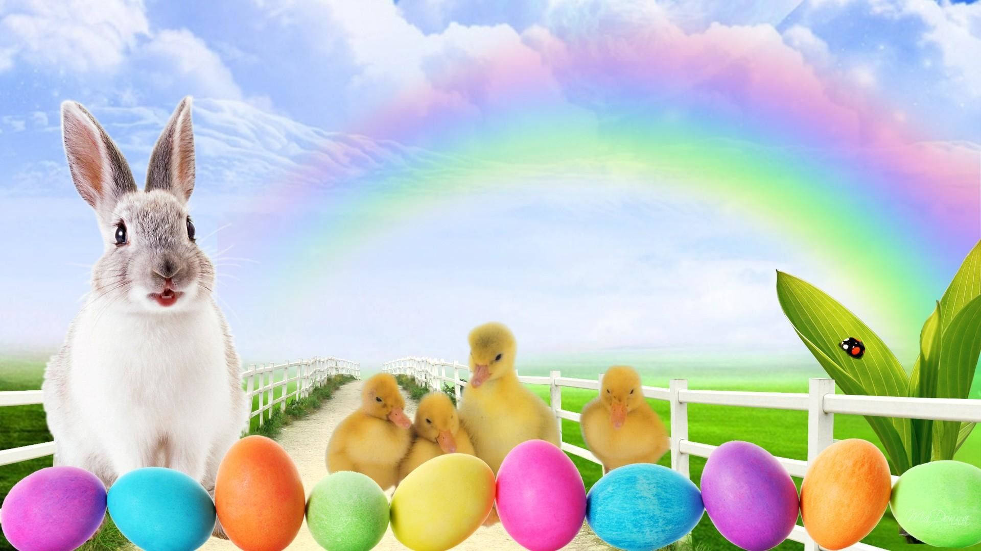 可愛復活節動物 壁紙 — 一隻白兔和黃色小鴨站在色彩繽紛的復活節蛋旁邊，在充滿活力的彩虹下，陽光明媚的田園場景。