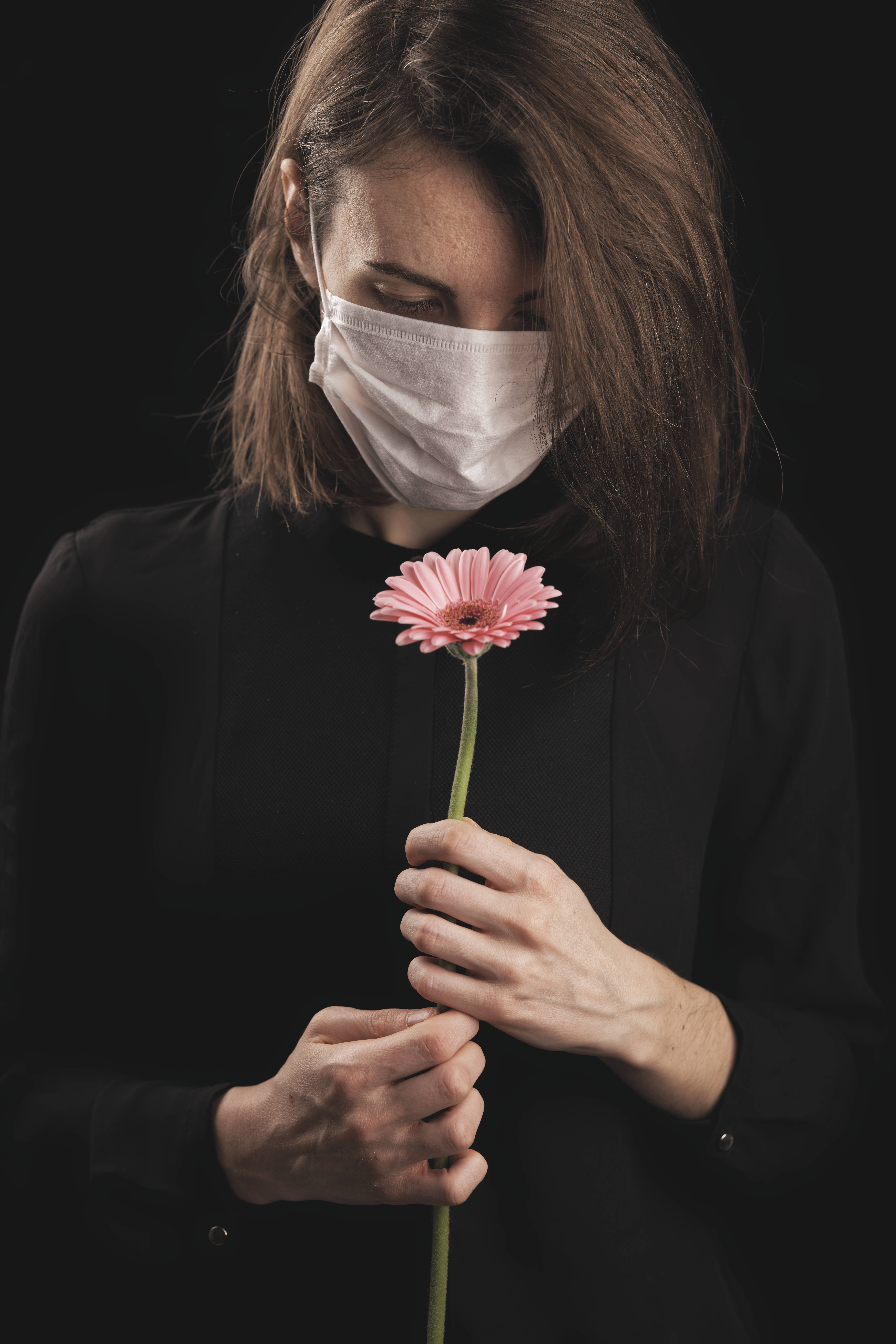 可愛情人節戴口罩女士與洋甘菊 壁紙 — 一個戴著白色口罩的人輕輕地拿著一朵粉紅色的非洲菊雛菊，背景是純黑色。