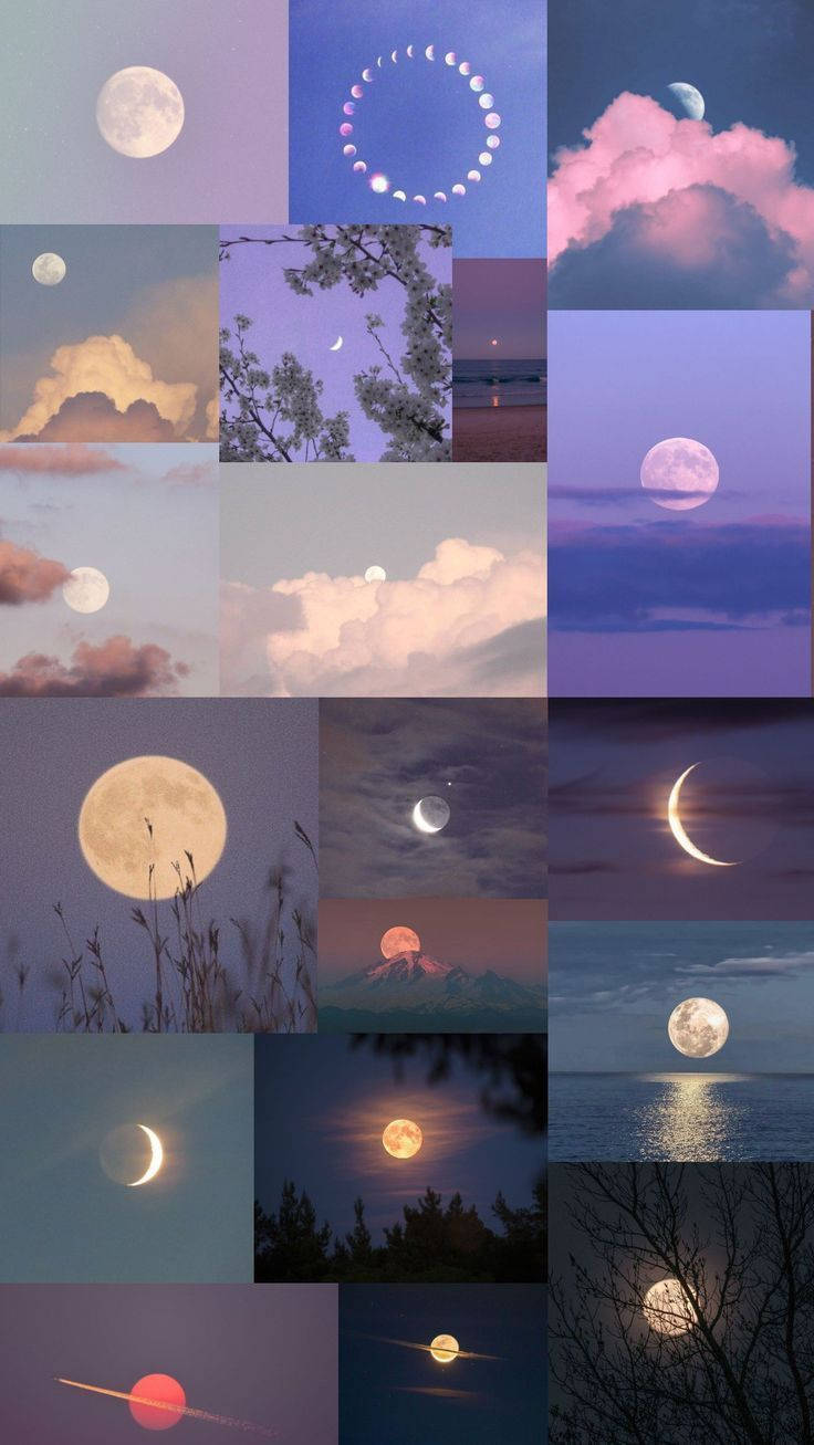 Girly Galaxy