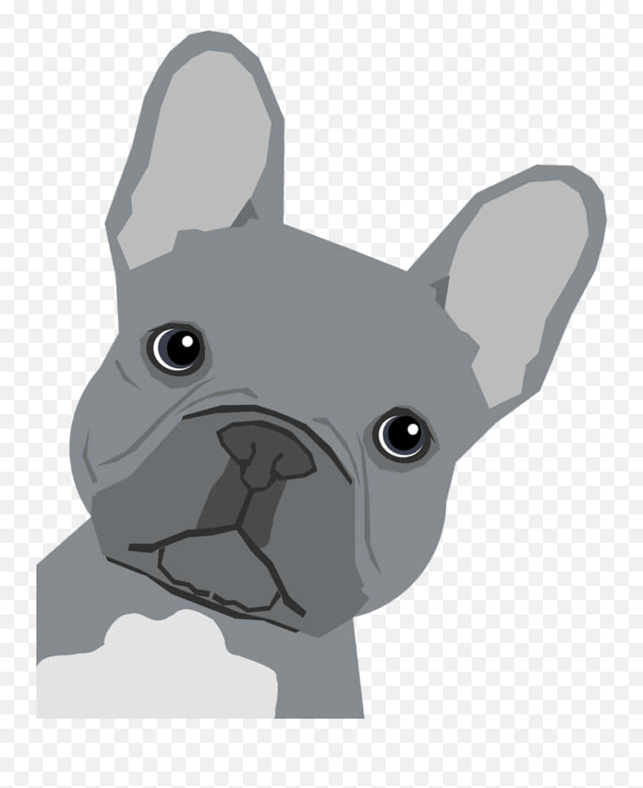 灰色法國鬥牛犬插圖，有大耳朵和白色胸斑。