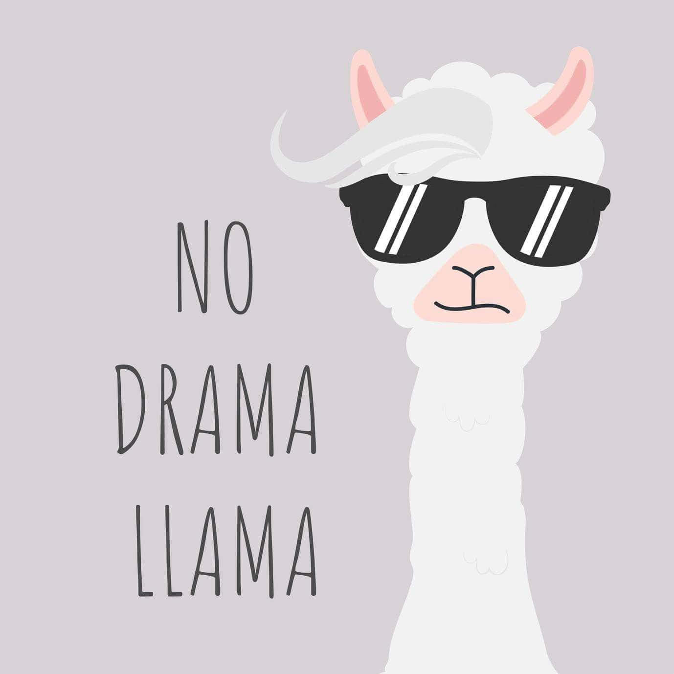 戴住太陽眼鏡嘅卡通羊駝，上面有「no drama llama」字樣。