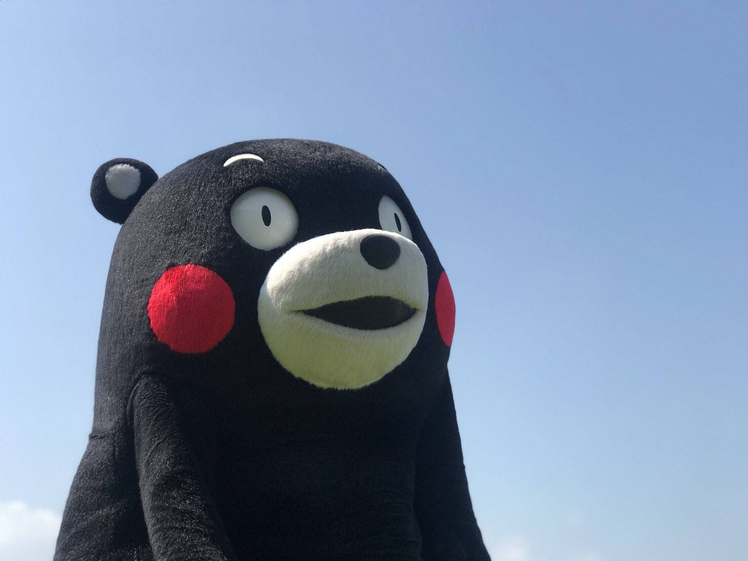 可愛熊本熊吉祥物 壁紙 — 一隻巨型黑色熊吉祥物，臉頰紅色，鼻子白色，站在清澈的藍天下。
