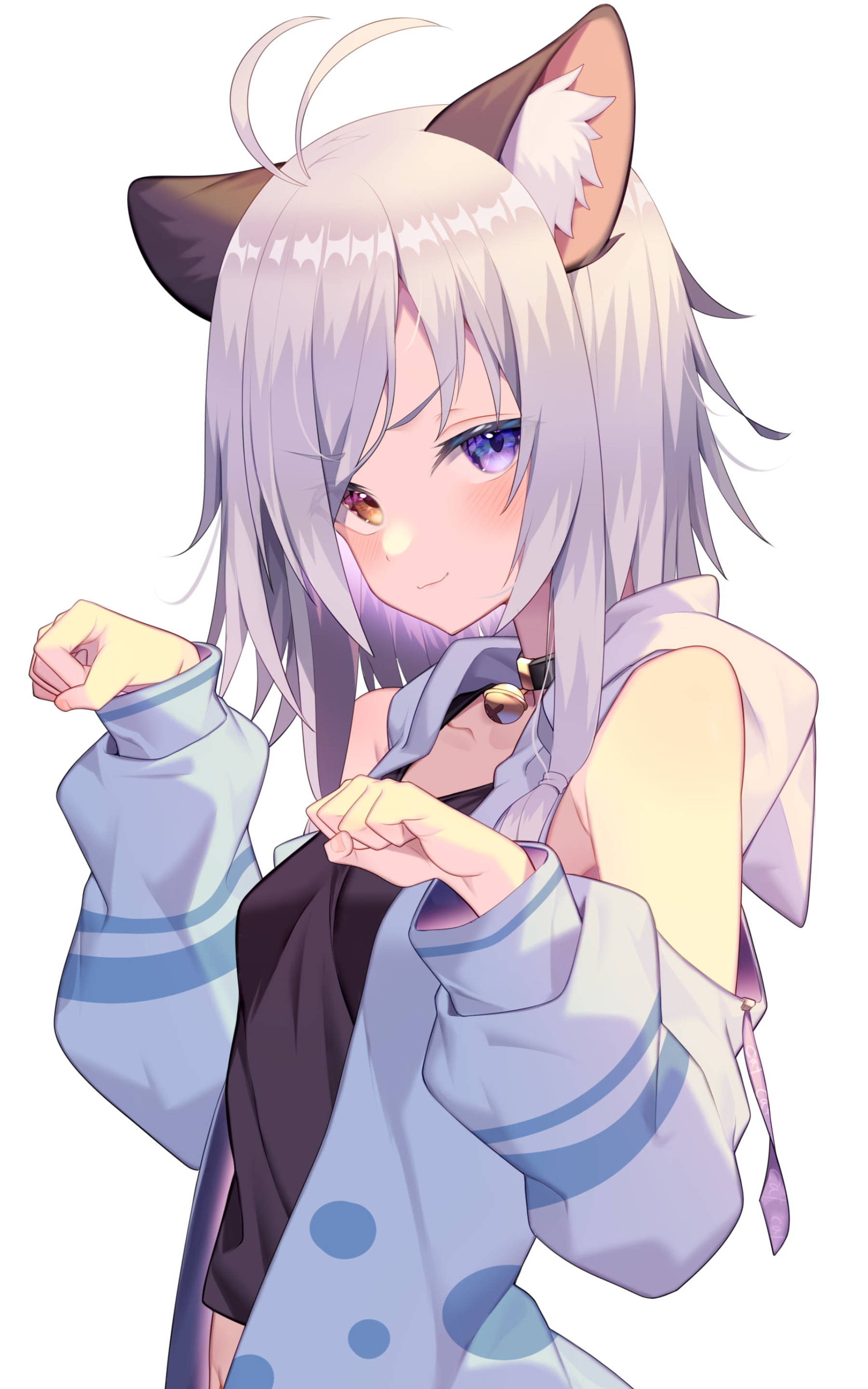 可愛狼耳性感少女 壁紙 — 一個可愛的動漫女孩，銀色頭髮和貓耳朵，微笑著調整她的藍色圓點連帽衫。