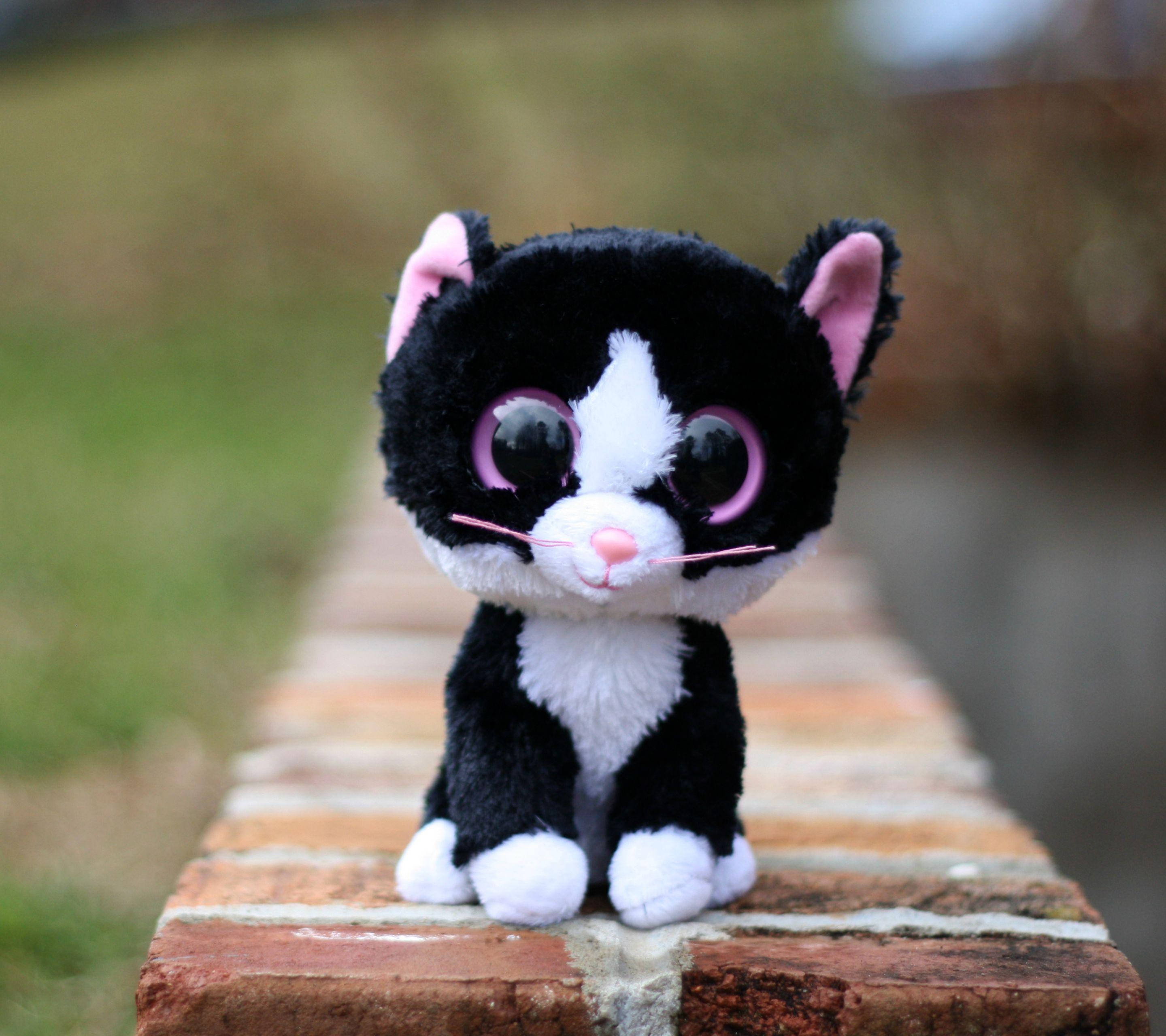 可愛的Beanie Boos貓咪 壁紙 — 一個黑白毛絨貓玩具，有粉紅色耳朵和大眼睛，坐在風化的磚牆上。