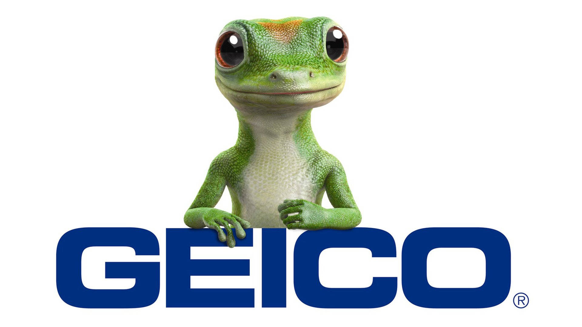 可愛的Geico海報 壁紙 — 一隻大眼睛、開心的綠色壁虎吉祥物，喺純白背景上從搶眼嘅藍色GEICO標誌上面探出頭嚟。