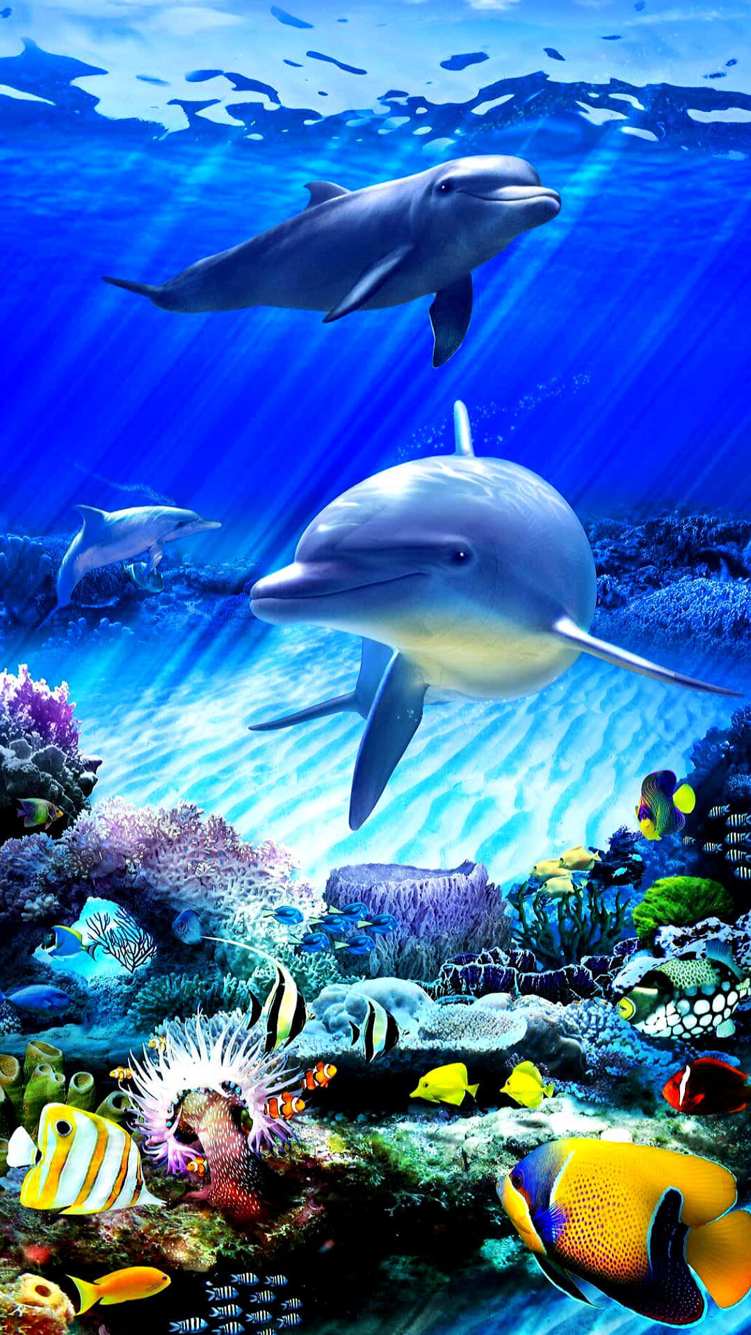 可愛的卡哇伊海洋生物探索海底世界 壁紙 — 海豚在陽光普照的藍色海水中優雅地滑行，上方是充滿色彩繽紛熱帶魚的活力珊瑚礁。