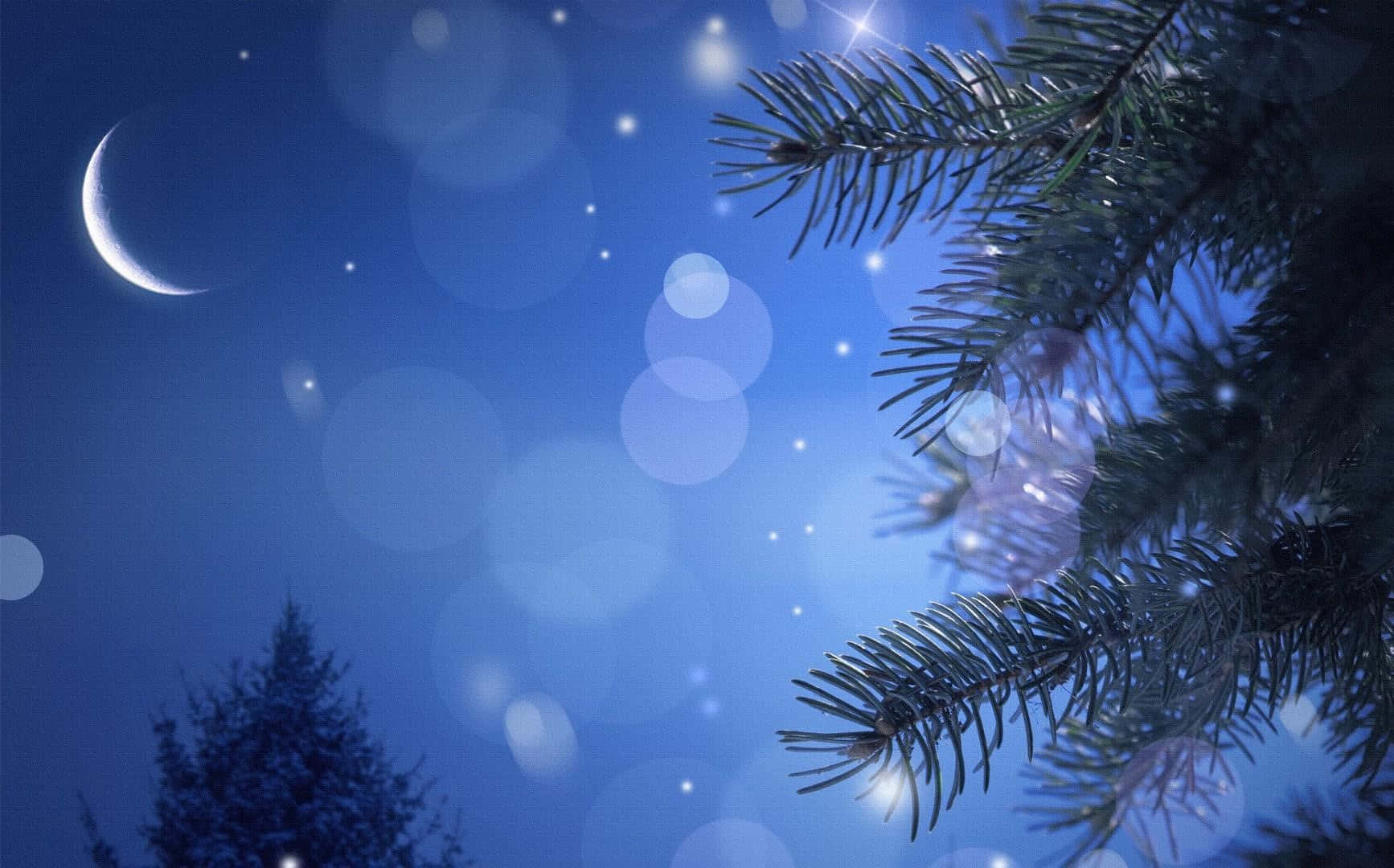 可愛的夜月畫作 壁紙 — 寧靜的夜晚場景，松樹枝後有一彎新月和閃爍的星星，伴隨著柔和的散景燈光。