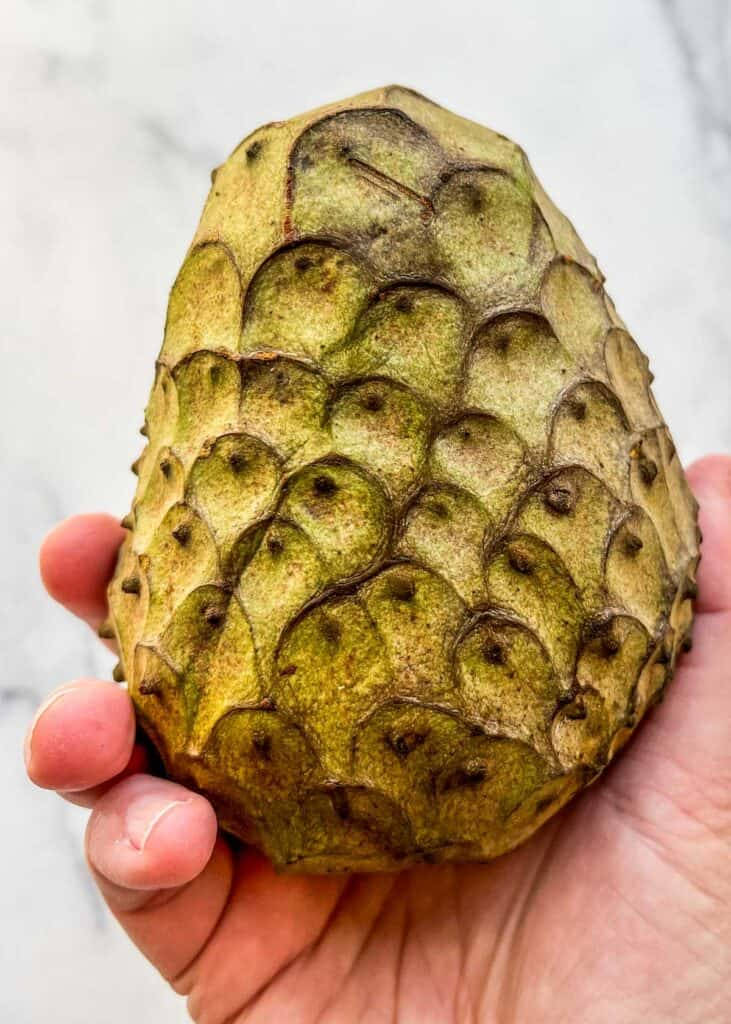 可愛的奇異果結果植物 壁紙 — 一隻手拿著一個綠色多刺的大刺果番荔枝，背景是白色大理石。
