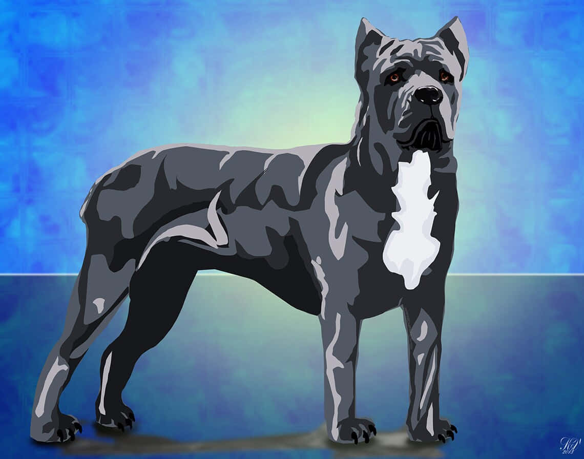 一隻肌肉發達的灰白色卡斯羅犬站在藍色背景前。