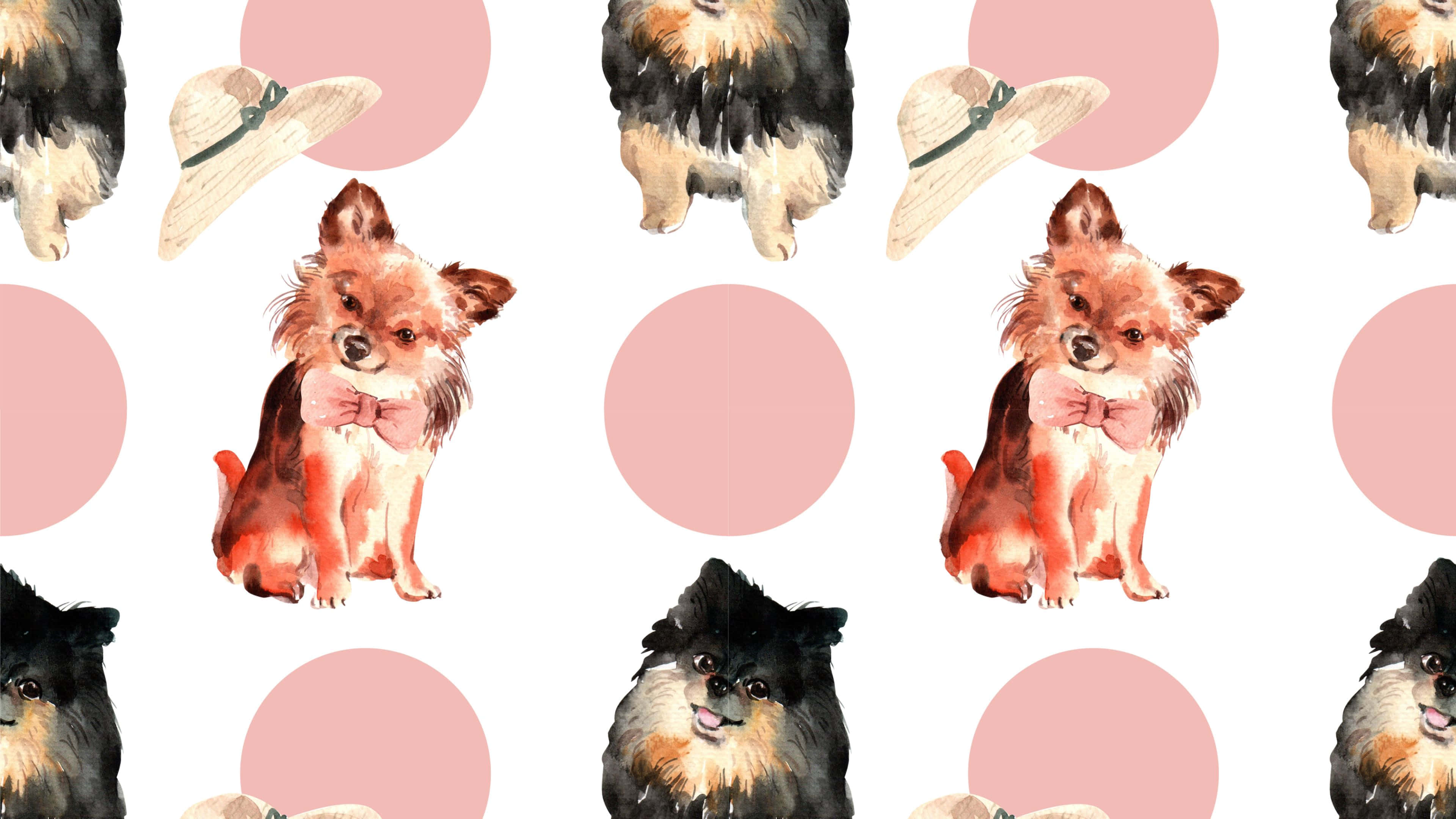 cute dogs 桌布 壁紙 — 可愛的芝娃娃和博美犬戴著蝴蝶結和帽子在粉紅色圓點上的水彩圖案。