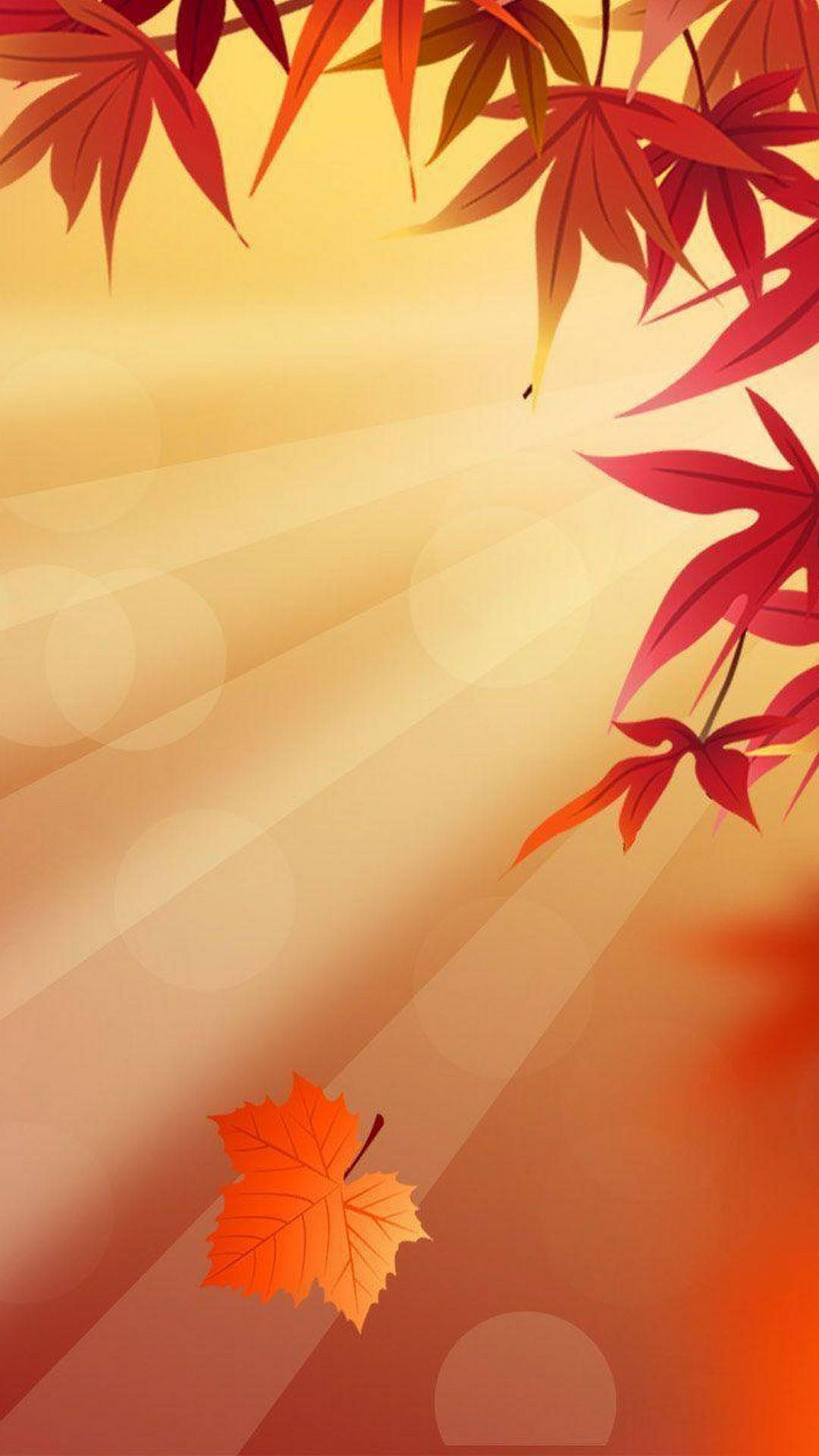 落下的楓葉襯托金色陽光背景，頂部由紅色楓葉框住。