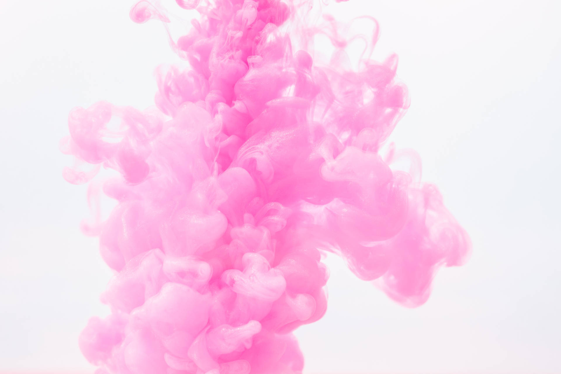 粉紅色墨水在白色背景的水中旋轉