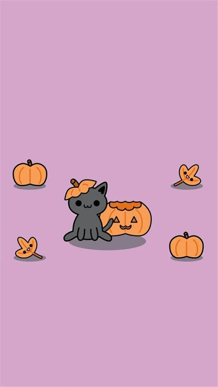戴南瓜帽的黑貓與傑克南瓜燈和小南瓜，粉紅色背景。
