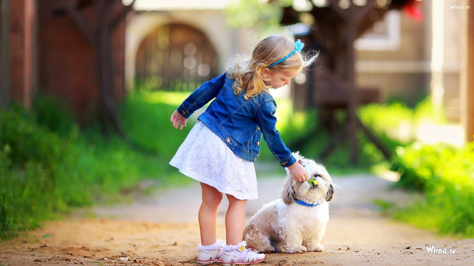 可愛西施犬與小朋友桌面壁紙 壁紙 — 一個穿著牛仔外套的小女孩在陽光普照的花園小徑上輕輕撫摸一隻毛茸茸的白狗。