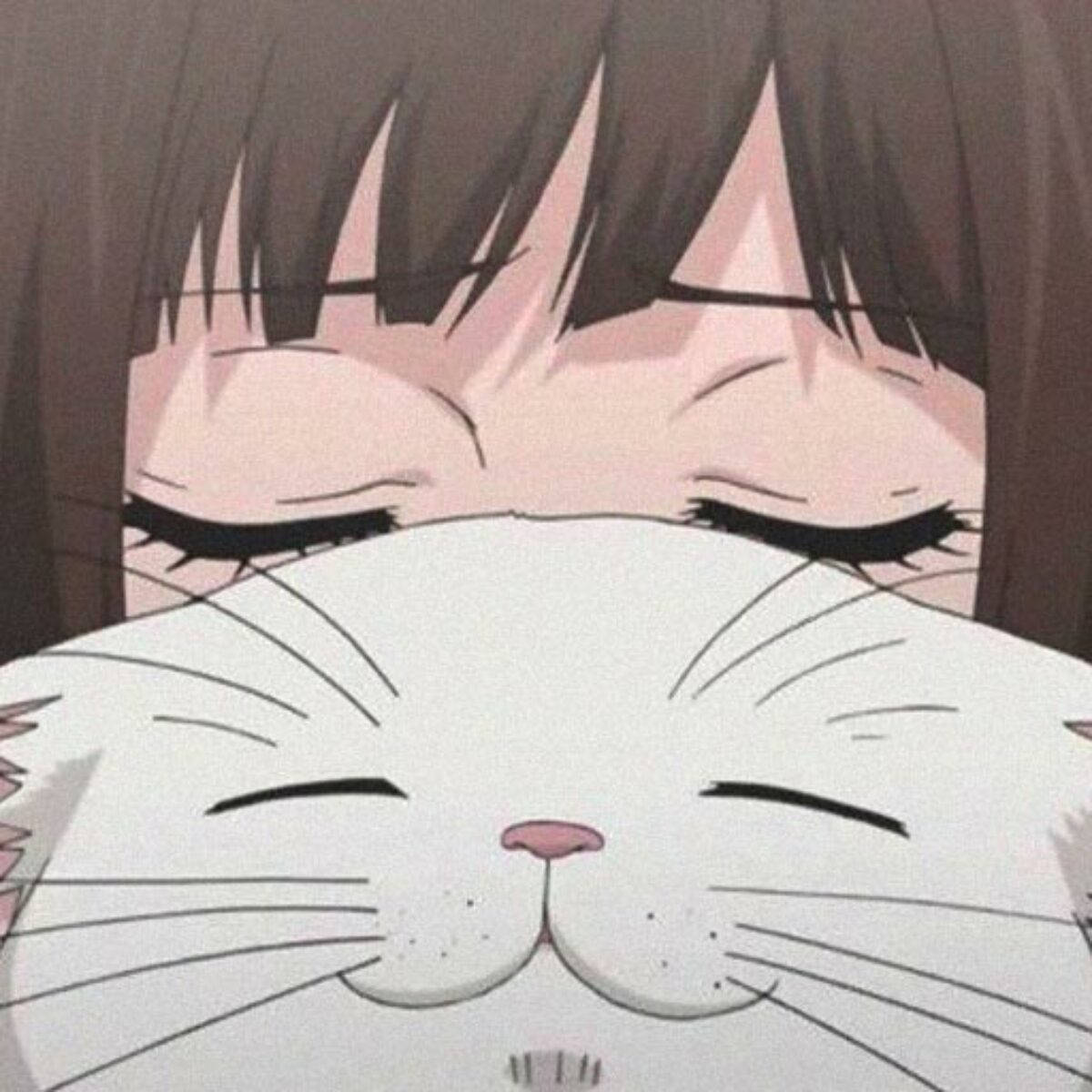 動漫女孩擁抱一隻閉著眼睛的白貓。