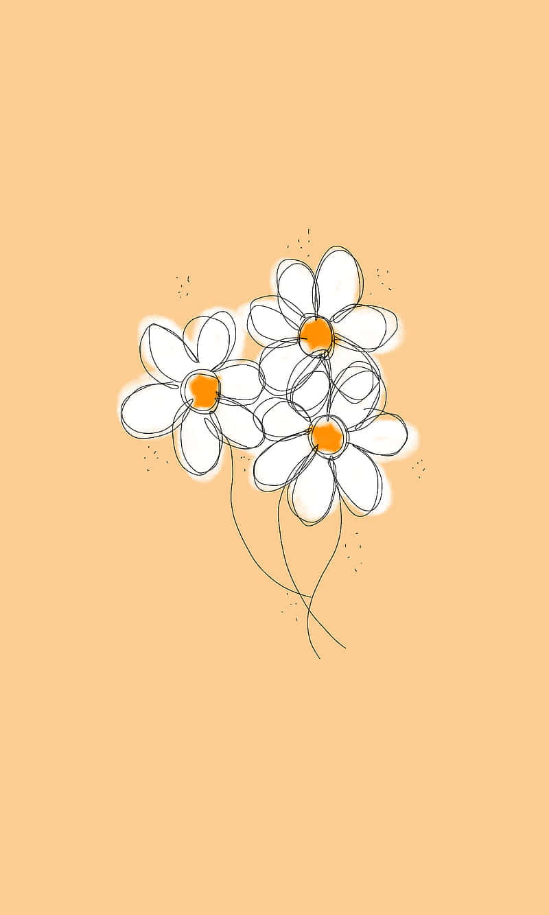 三朵簡單的雛菊，橙色花心，在蜜桃色背景上。
