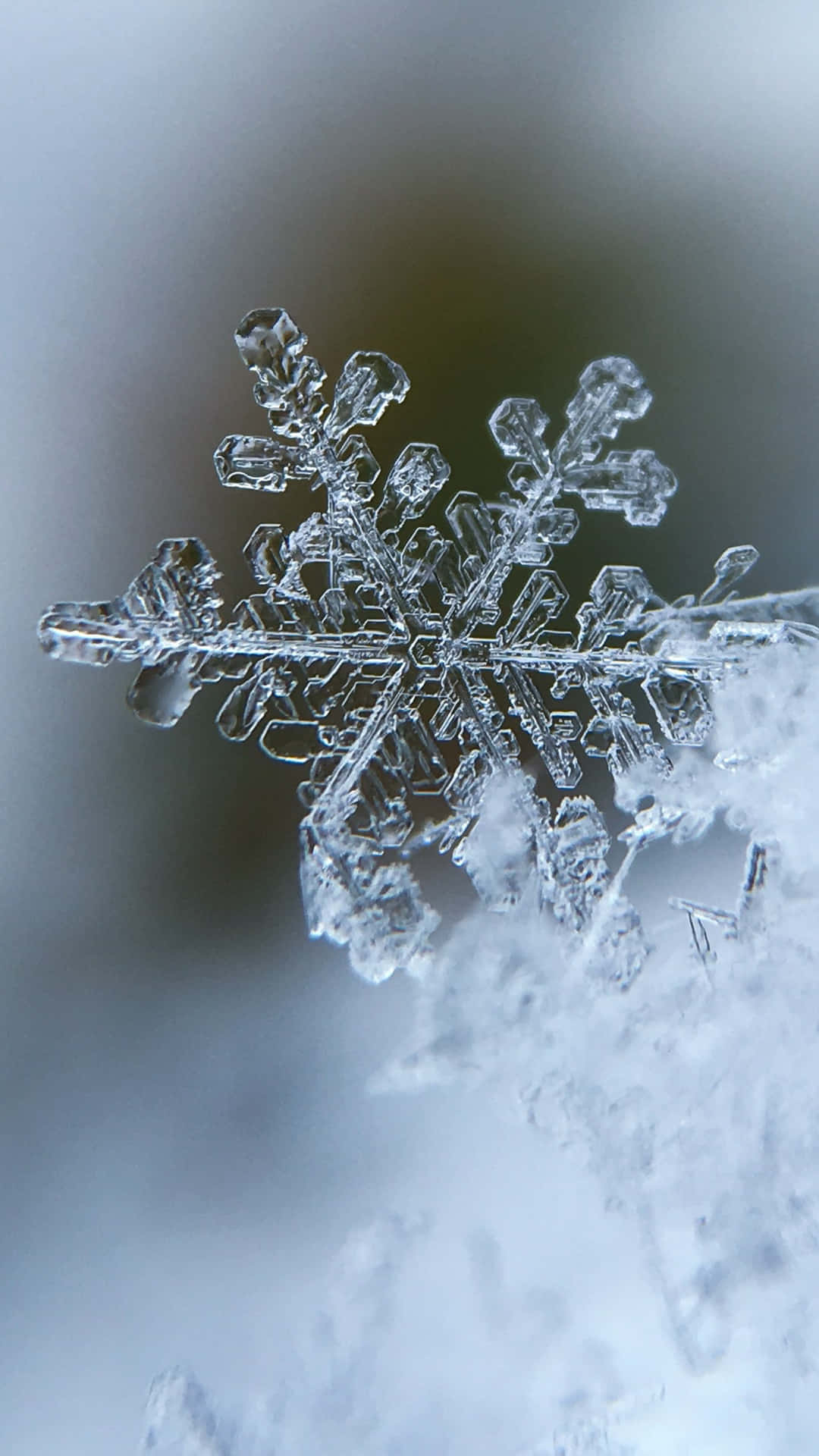 雪地上詳細雪花的特寫