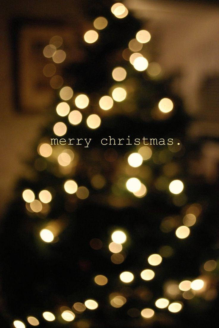 模糊的聖誕樹燈光，帶有 'merry christmas' 文字，在室內溫暖地發光。