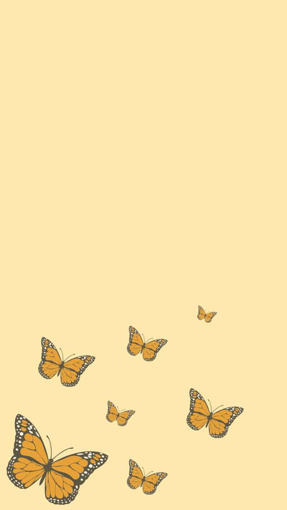 橙色帝王蝶在奶油色背景上飛翔。