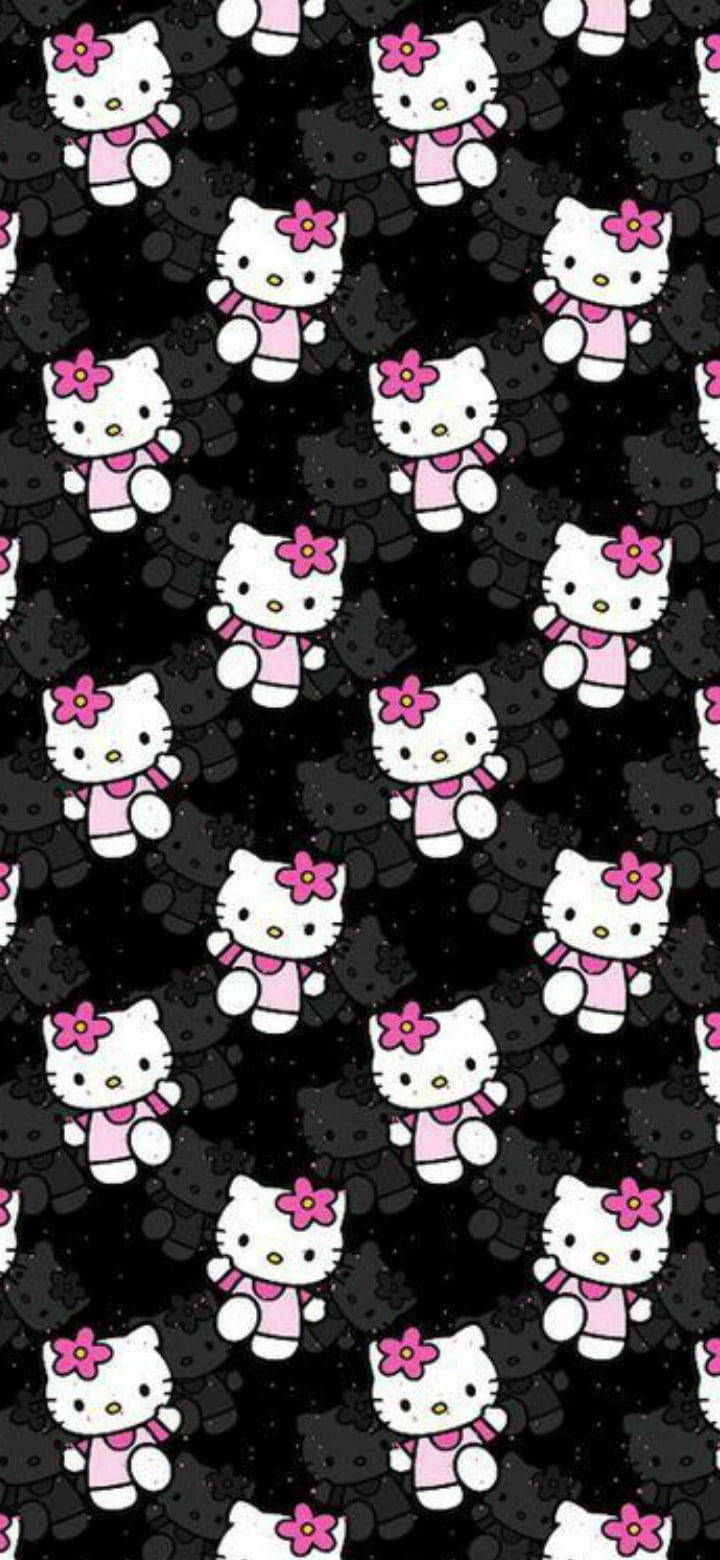 Hello Kitty角色戴著粉紅色圍巾和花朵頭帶在黑底上。