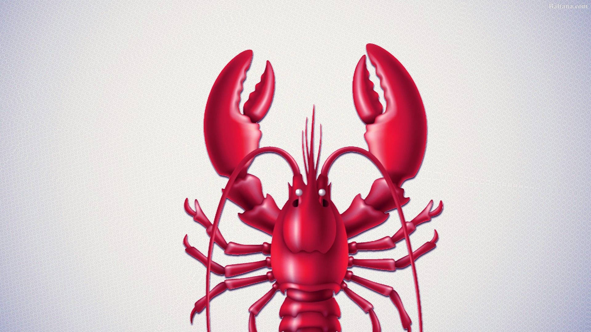 可愛龍蝦插畫 壁紙 — 一隻光澤的紅色龍蝦以3D渲染，帶有鋒利的爪和觸角，背景為淺灰色紋理。