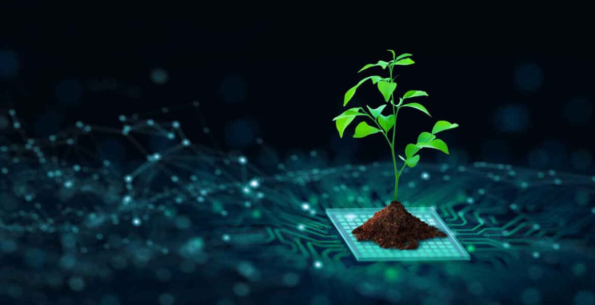 一棵小樹從發光電腦芯片上的土壤中發芽，背後有數碼連接。