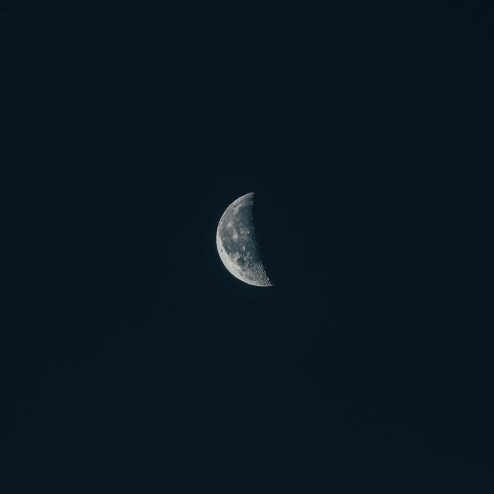 可見半圓月亮 壁紙 — 一彎精緻的月牙在深靛藍色的夜空中柔和地閃耀，其佈滿隕石坑的表面細節清晰。