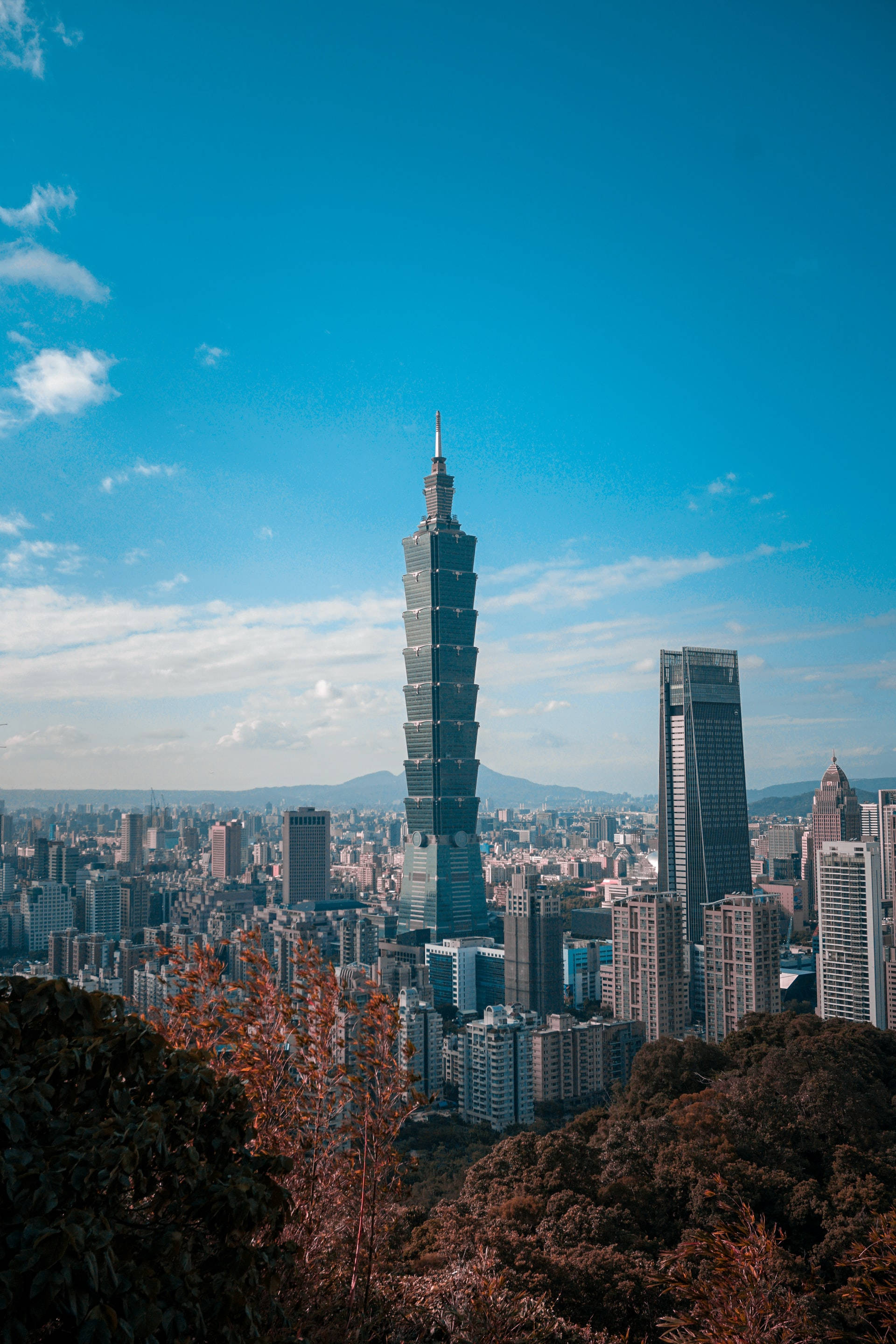 台北101大樓 壁紙 — 台北101摩天大樓在陽光普照的城市天際線中佔據主導地位，天空湛藍，雲朵稀疏。