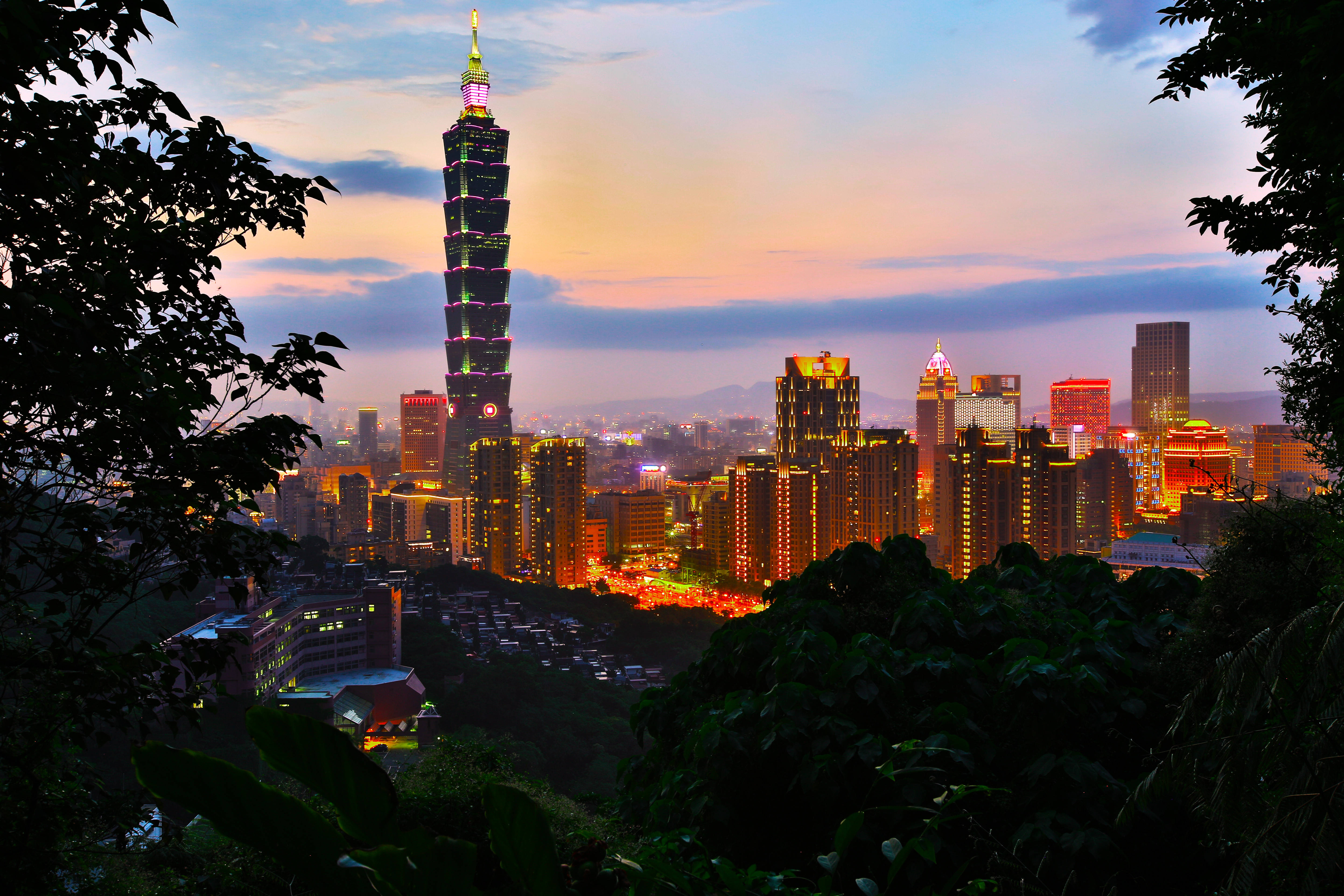 台北台灣城市風景 壁紙 — 黃昏時分充滿活力的城市景觀，標誌性的台北101塔在粉彩天空的映襯下閃閃發光，並由深色樹木剪影框住。
