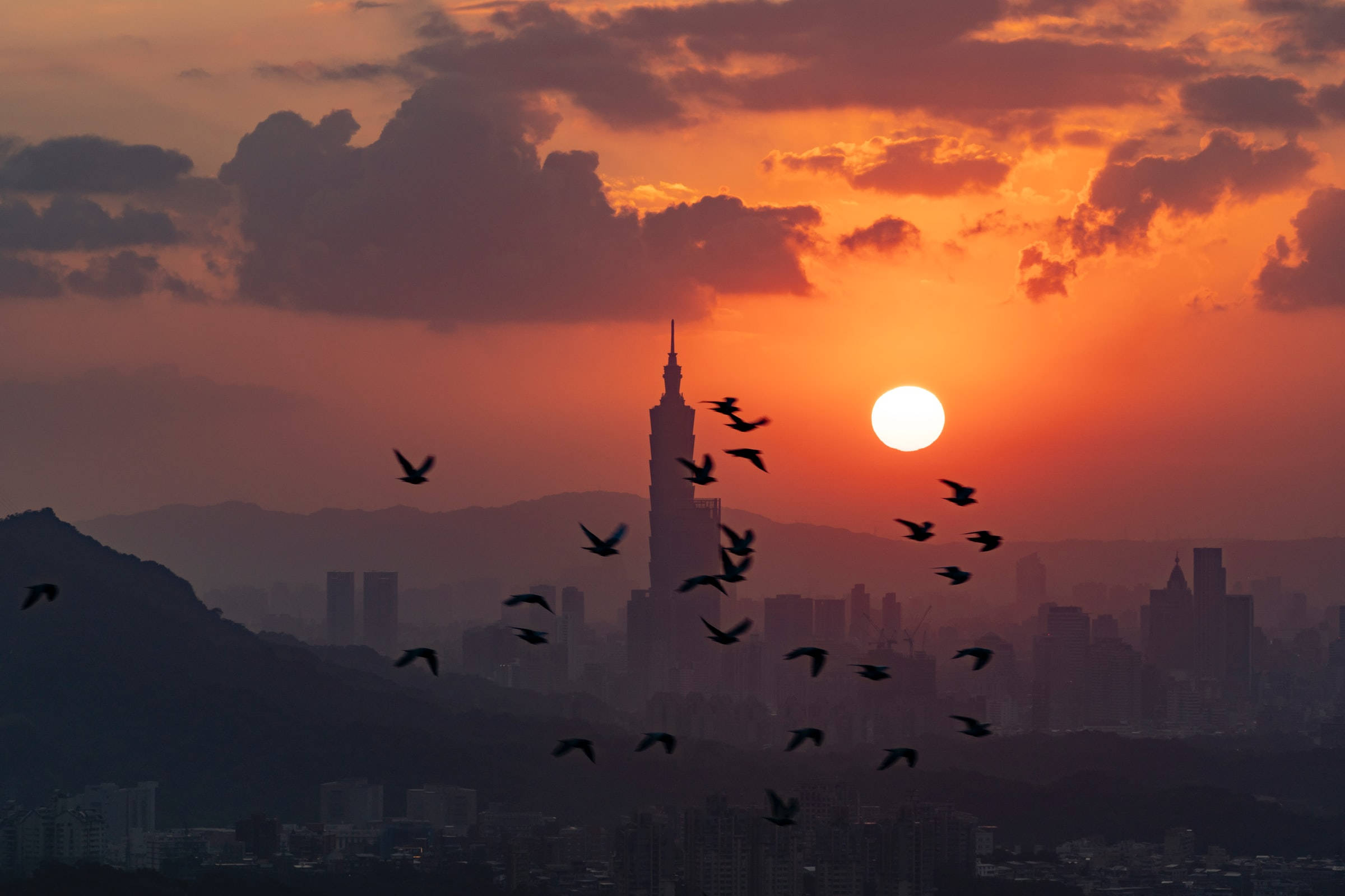 台北夕陽與飛鳥 壁紙 — 剪影鳥兒在台北天際線上，伴隨著標誌性的台北101大樓高聳，翱翔於熾熱的夕陽之中。
