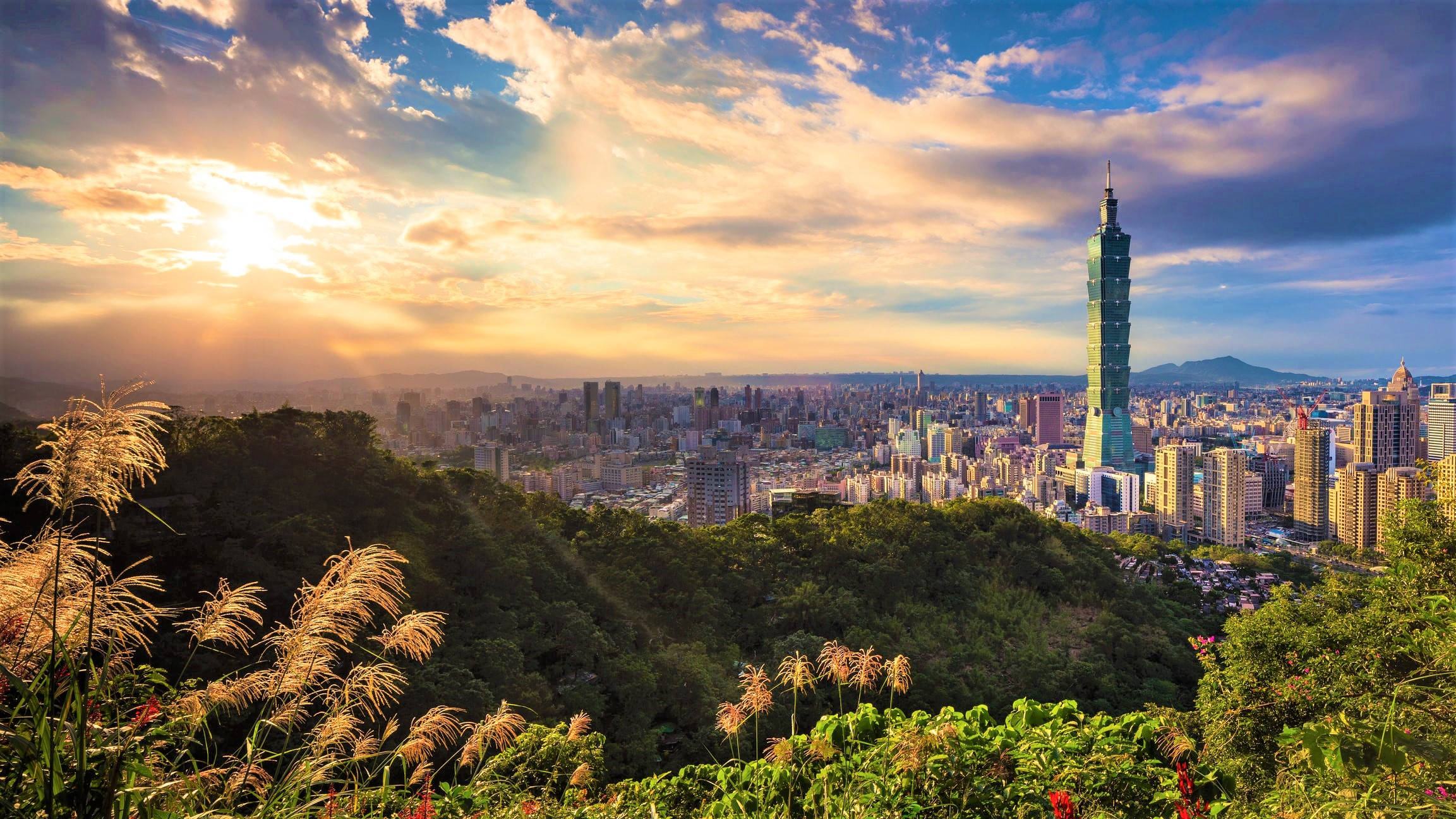 台北市夕陽 壁紙 — 夕陽將台北天際線沐浴在金色光芒中，台北101大樓在鬱鬱蔥蔥的綠色山丘和城市景觀之上聳立。