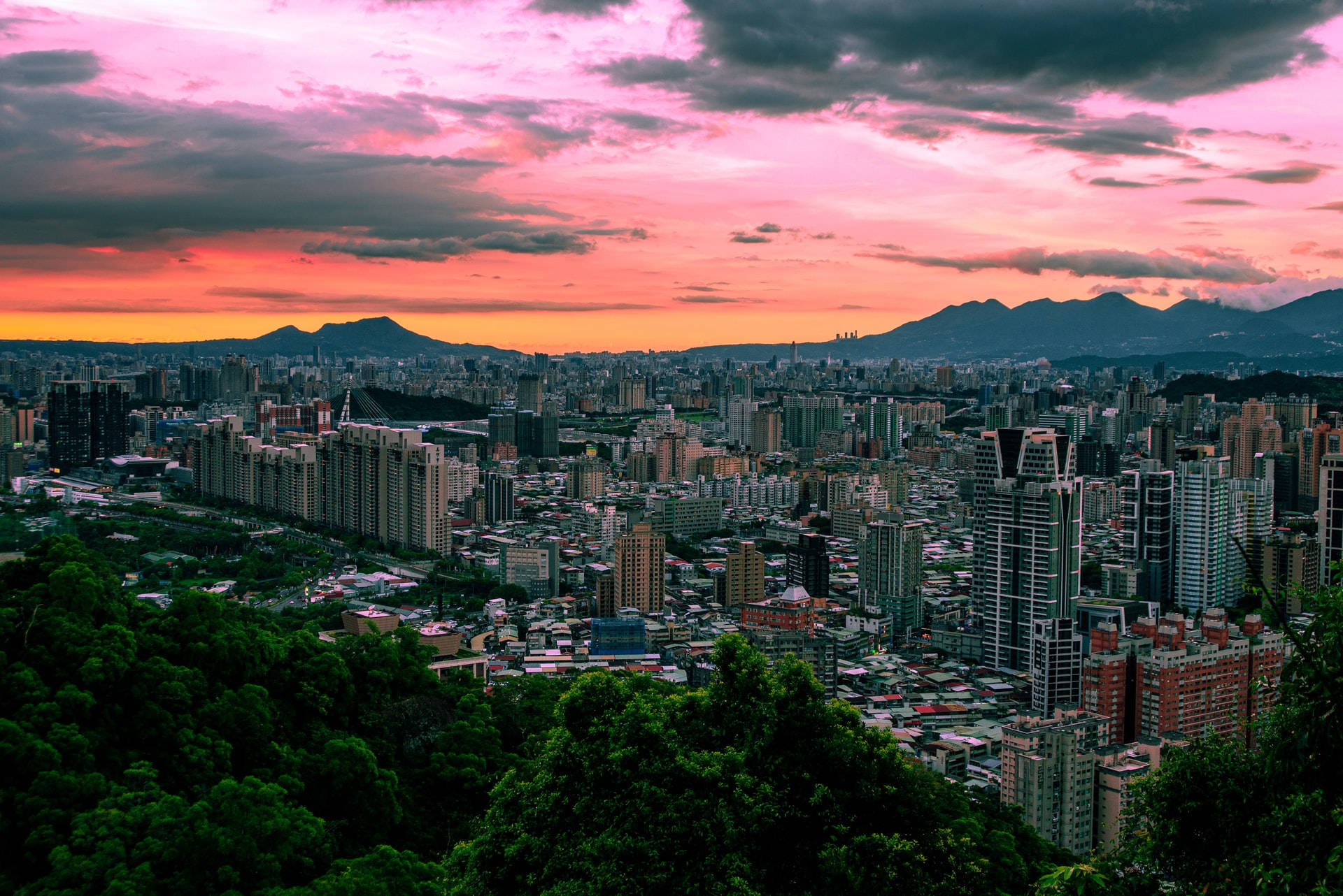 台北市天際線 壁紙 — 日落時分廣闊的城市景觀，粉橙色天空籠罩著密集的建築物和前景的綠色樹木。