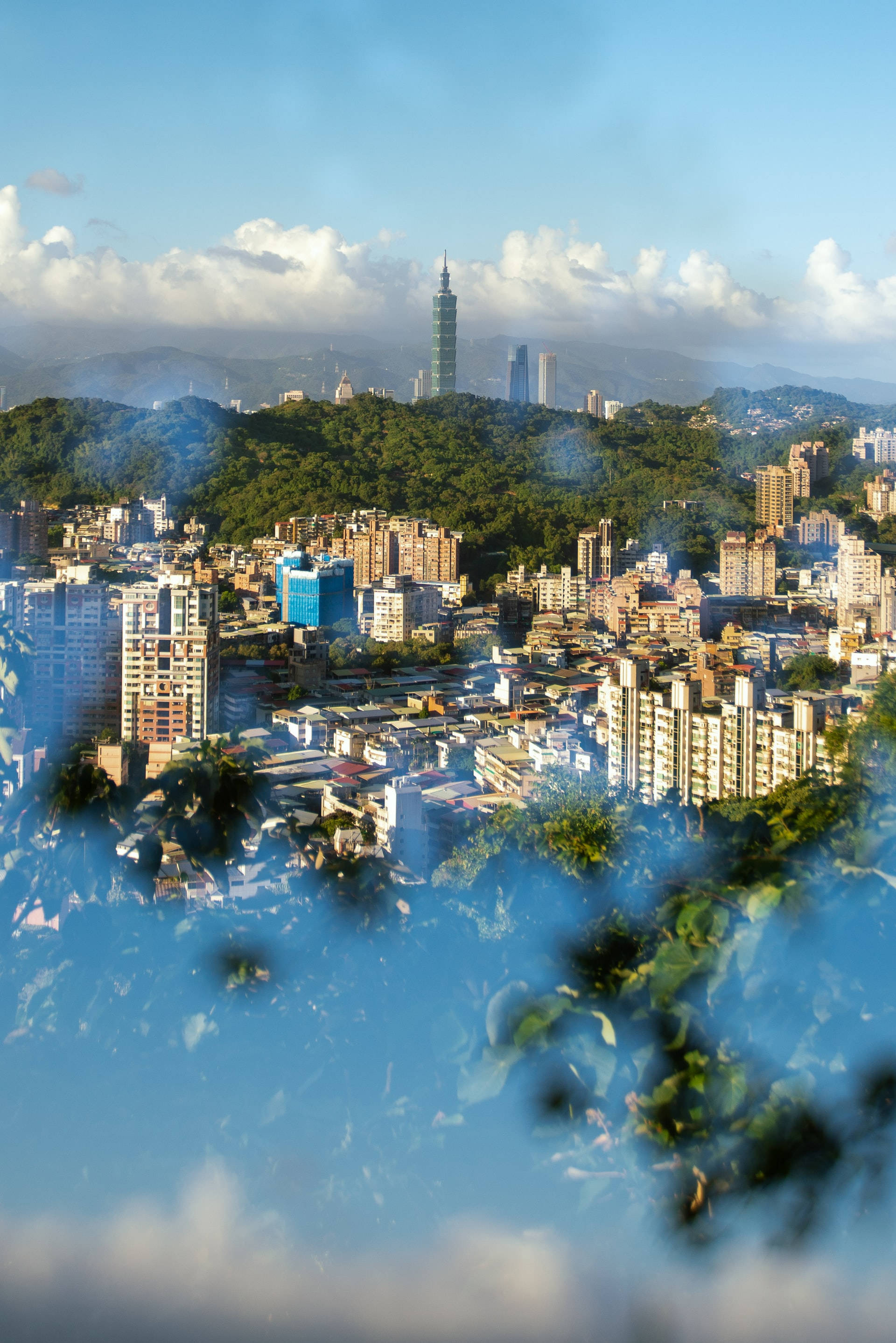 台灣台北之美 壁紙 — 台北城市景觀的全景視圖，台北101在部分多雲的藍天下聳立在綠色山丘之上。