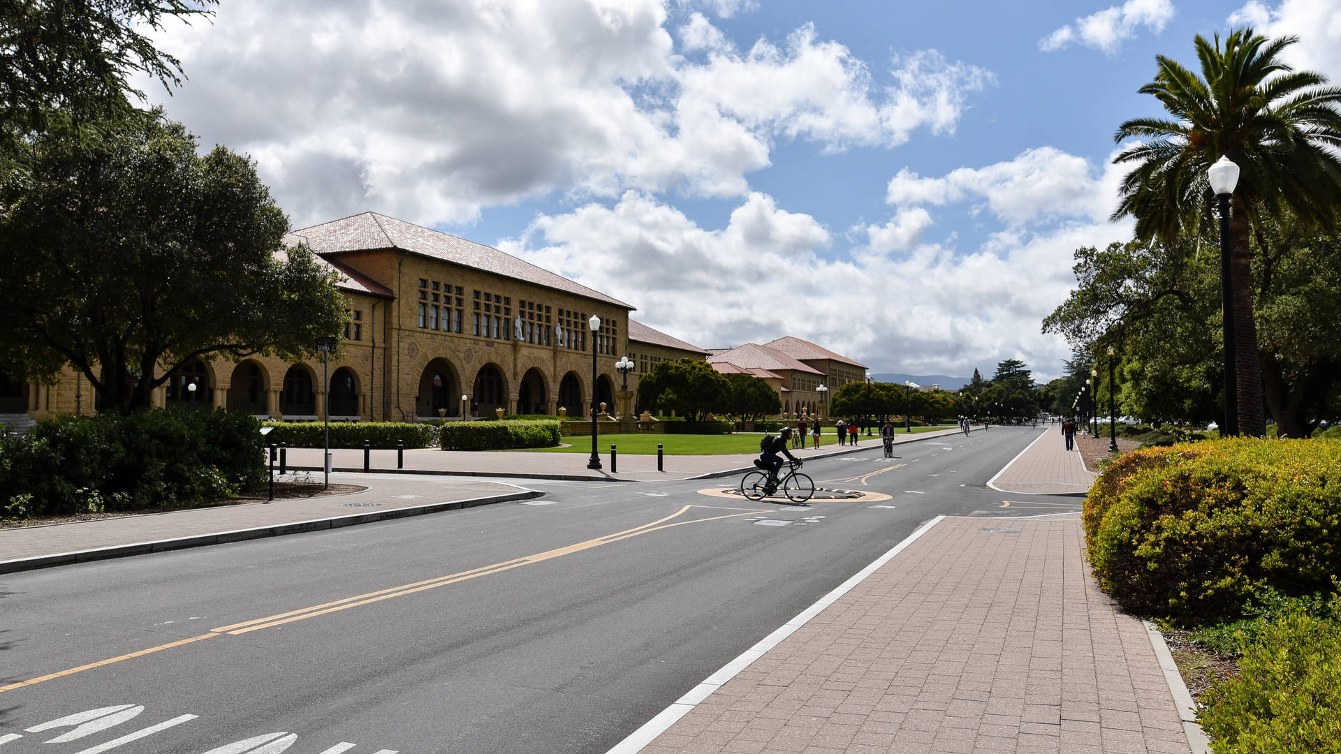 騎單車人士在大學校園道路上，有棕櫚樹和歷史建築。