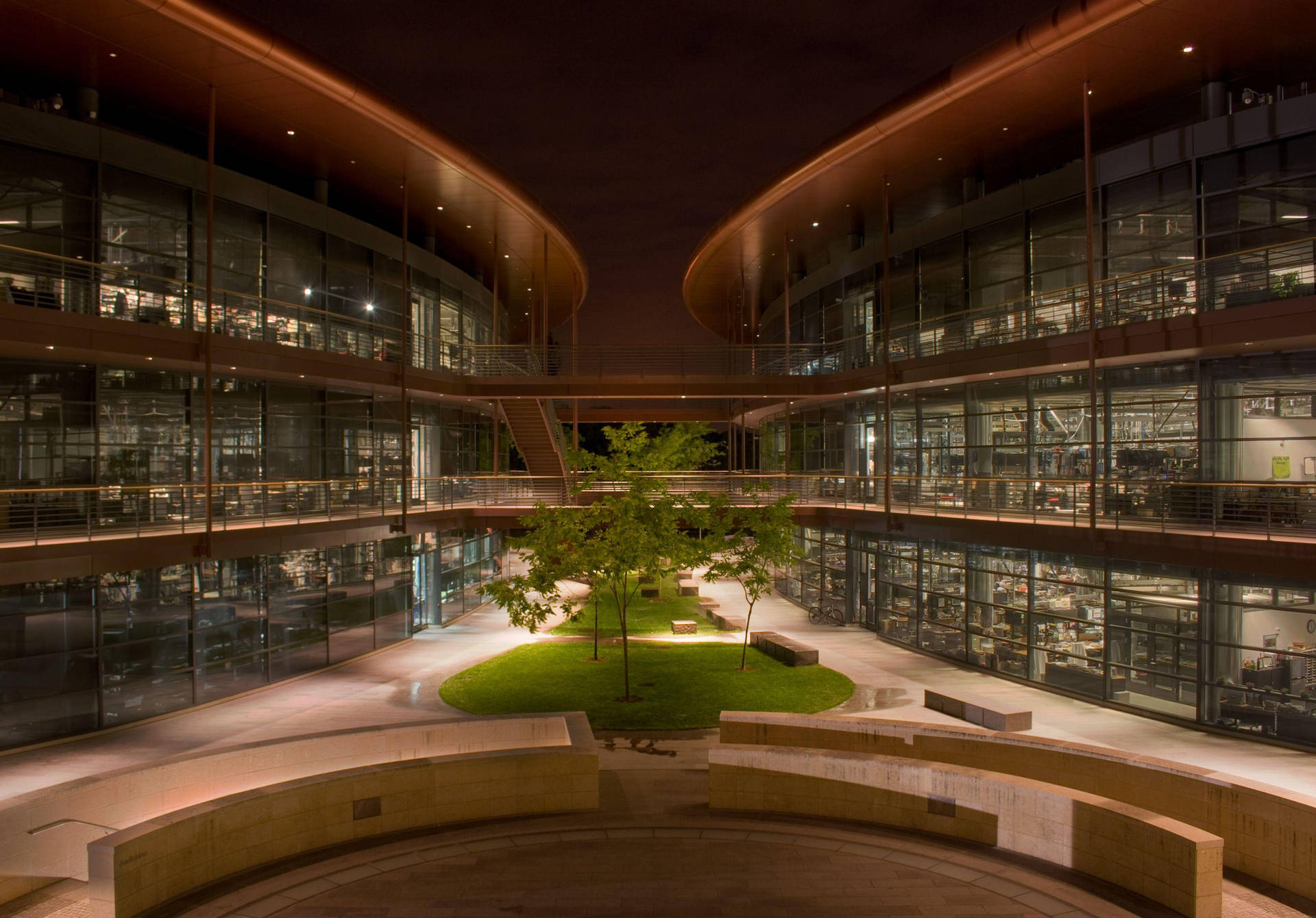 現代圖書館的夜景，玻璃牆和一個中央庭院，庭院裡有樹木和石凳。