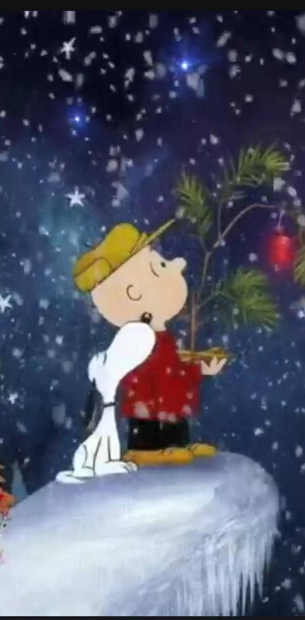 查理布朗和史努比欣賞佈滿星星的雪夜天空，同時拿著一棵小聖誕樹。