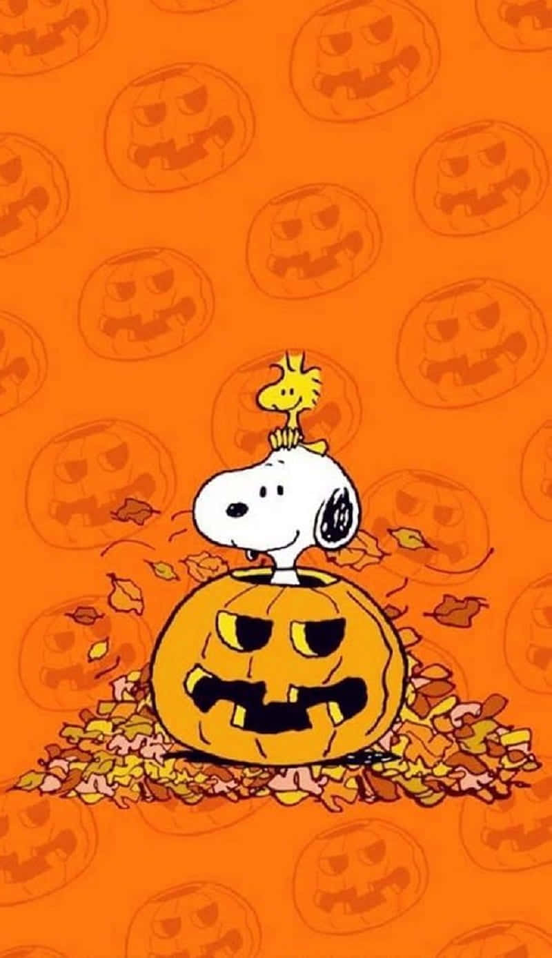 Snoopy Fall 桌布 壁紙 — 史努比和胡士托棲息在一個雕刻的南瓜燈上，周圍環繞著秋葉，背景是橙色南瓜圖案。