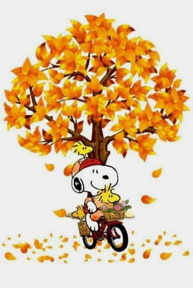 Snoopy Fall 桌布 壁紙 — 史努比在鮮豔的橙色秋樹下騎自行車，伍德斯托克停在他的頭上和籃子裡。
