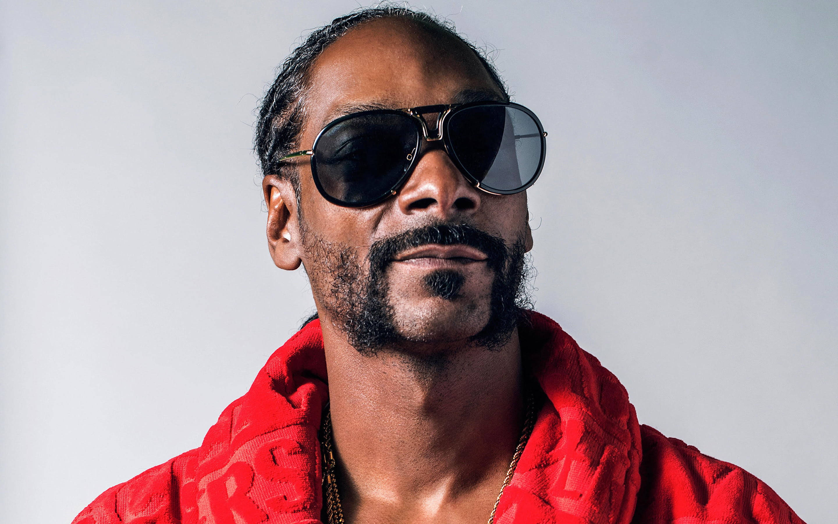 史努比狗狗穿紅色范思哲浴袍 壁紙 — Snoop Dogg 戴著超大太陽眼鏡和鮮紅色連帽衫，背景為純灰色。