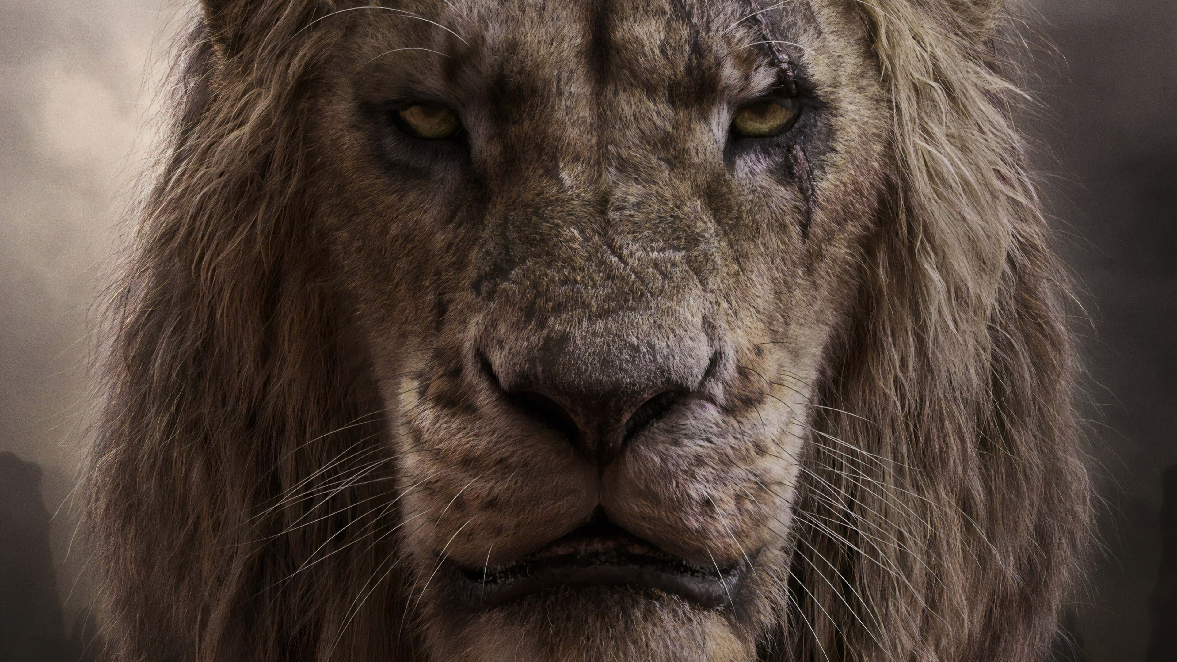 史卡—— Pride Lands 的狡猾統治者 壁紙 — 一頭雄偉獅子的特寫，牠有著風化的鬃毛和強烈的金色眼睛，直視前方。