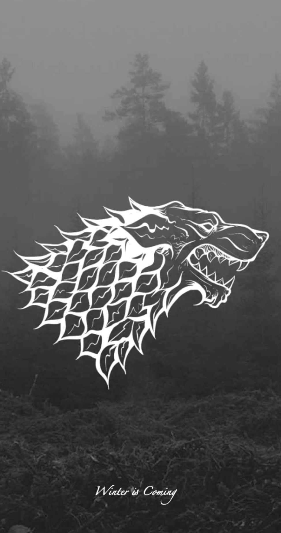 冰原狼徽章，帶有「Winter is Coming」文字，置於迷霧森林背景上。