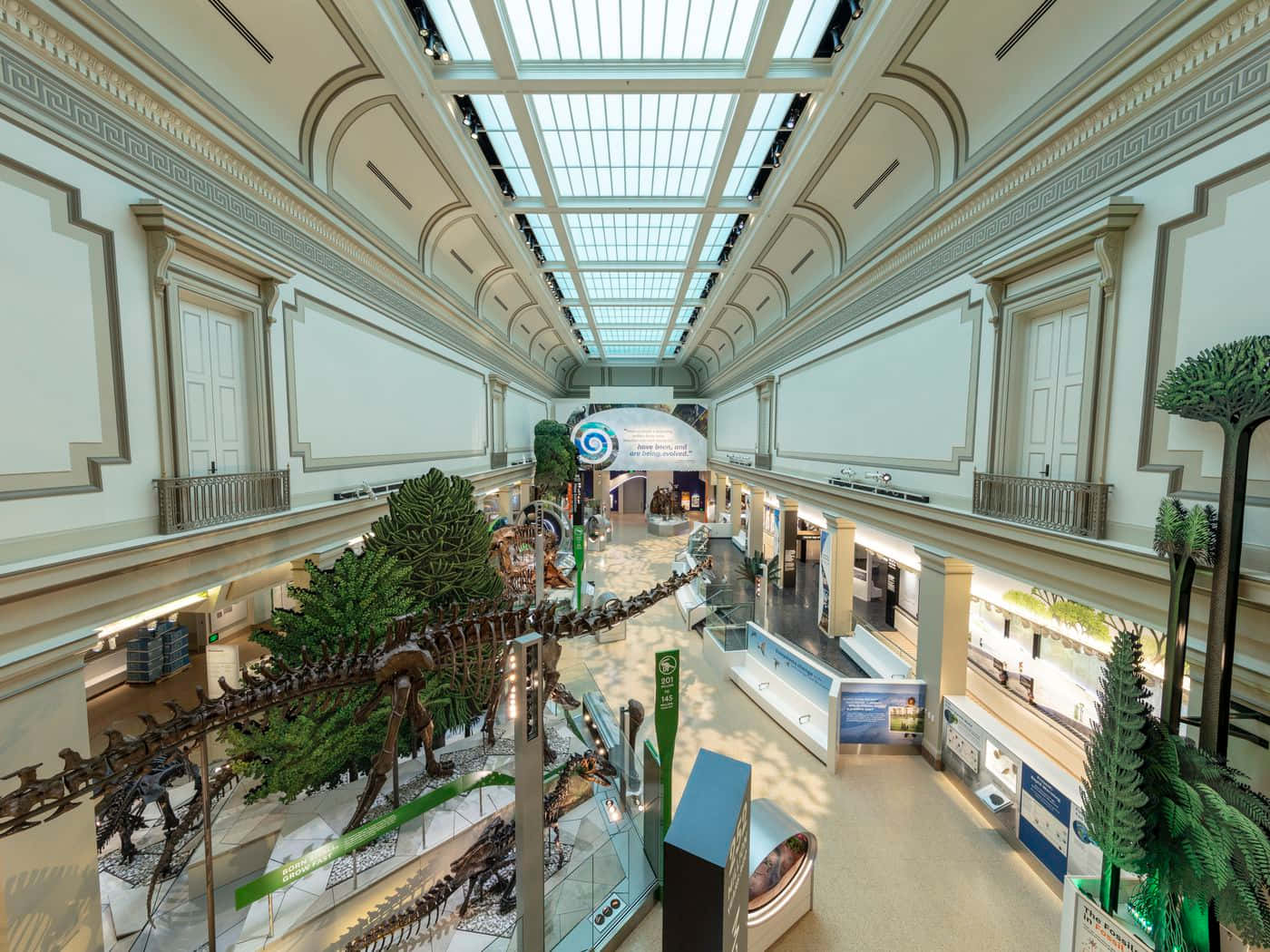 在擁有玻璃天花和古典建築風格的大型博物館中展示的恐龍骨架。