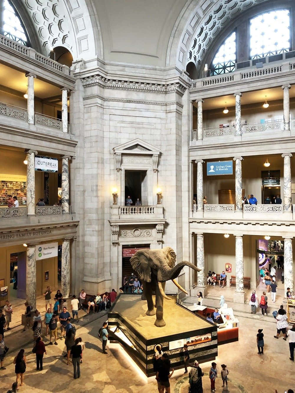 宏偉的博物館中庭中的大型大象展覽，有遊客和裝飾柱。