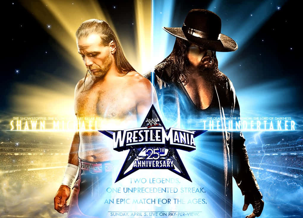 WrestleMania 25海報， featuring Shawn Michaels和The Undertaker在戲劇性燈光下。